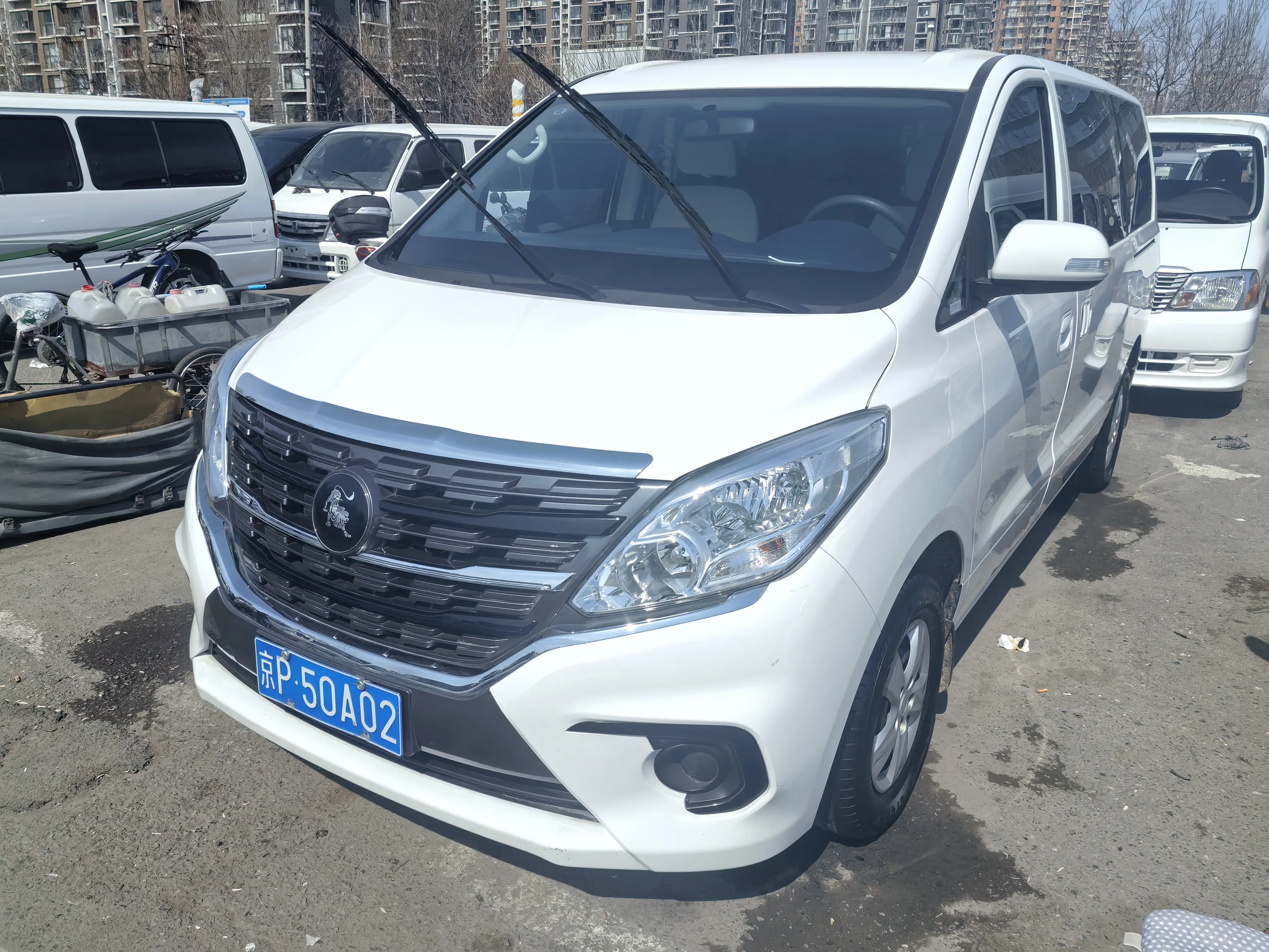 Forthing Lingzhi PLUS