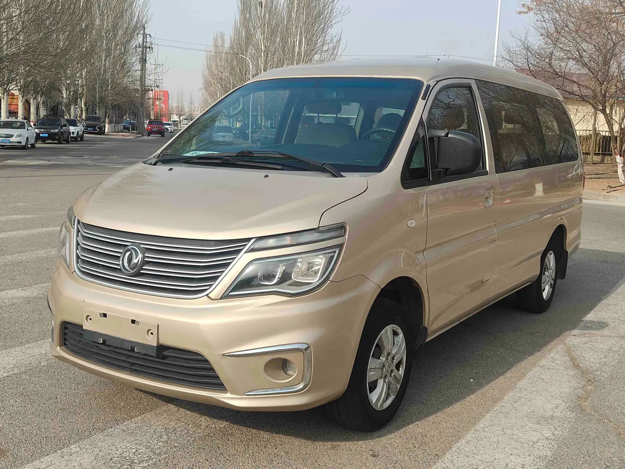 Forthing Lingzhi