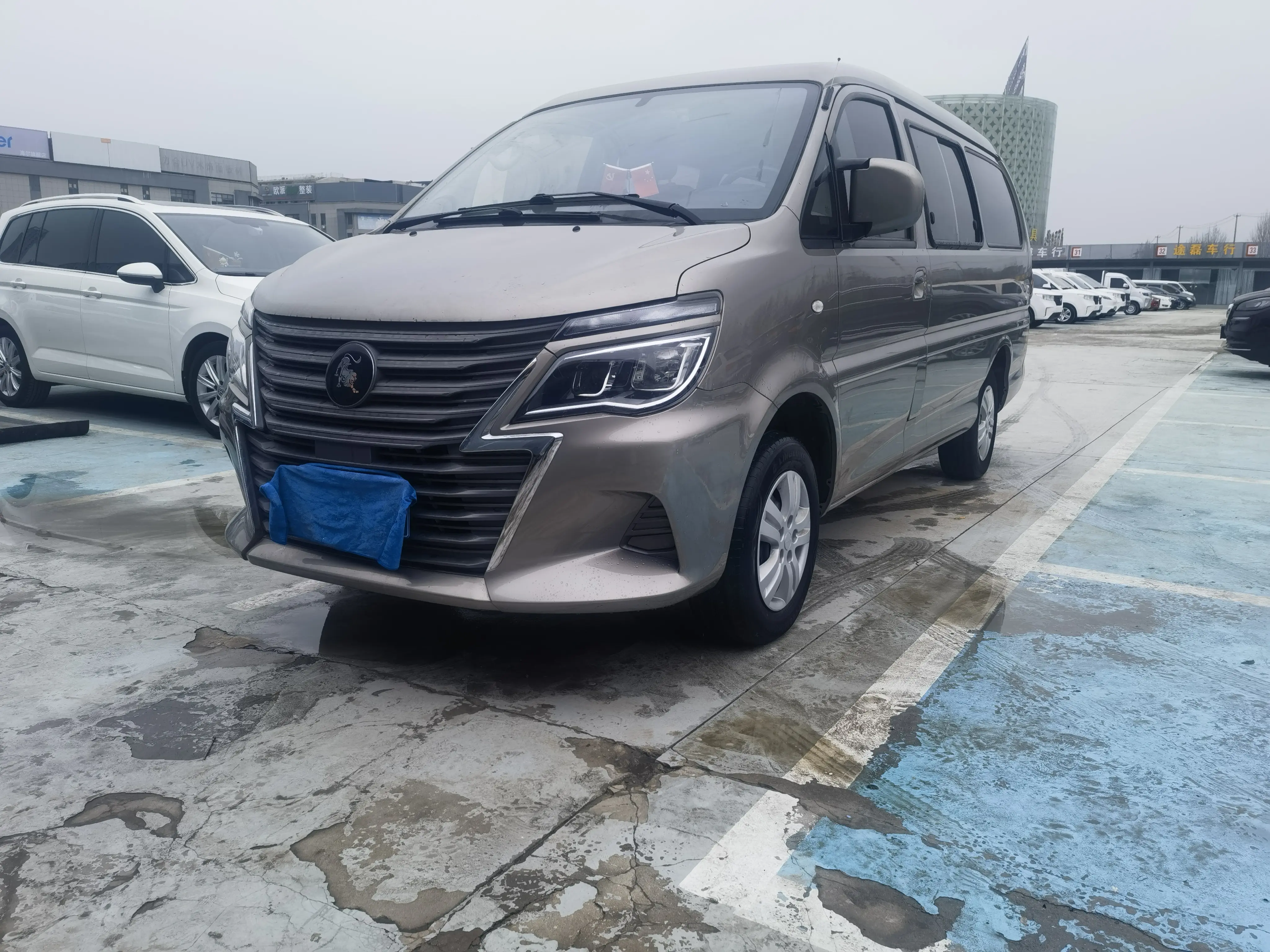 Forthing Lingzhi