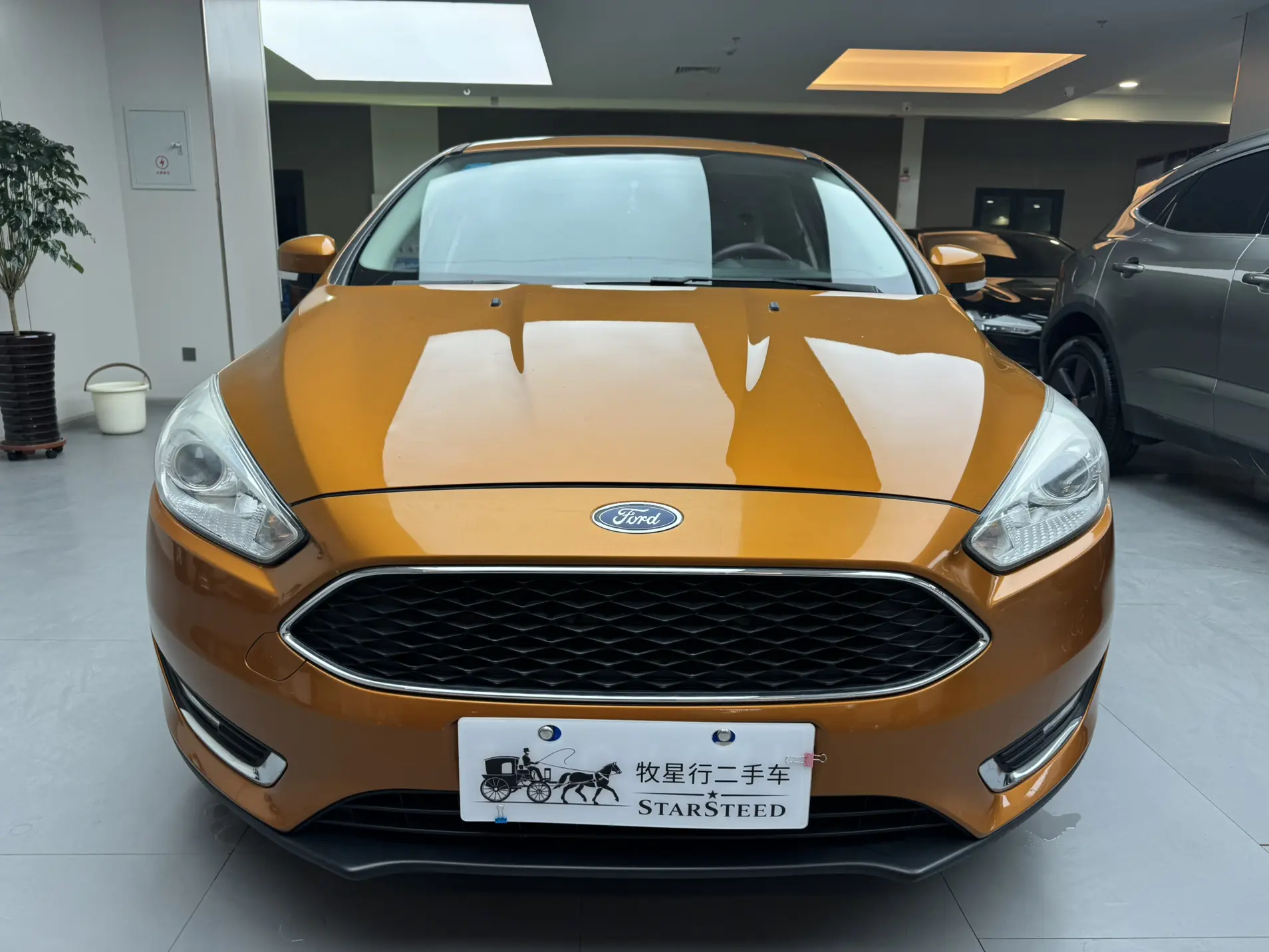 Ford Focus  из Китая