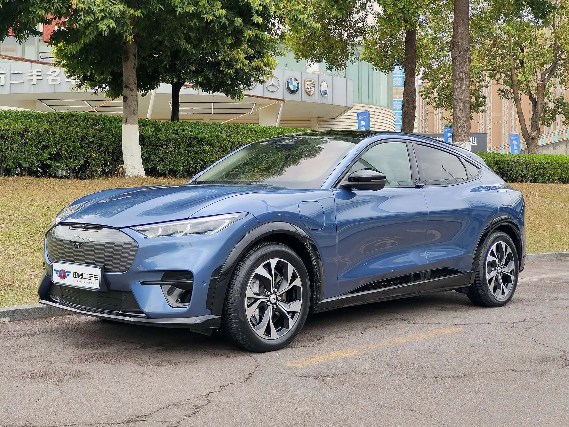 Ford electric horse  из Китая