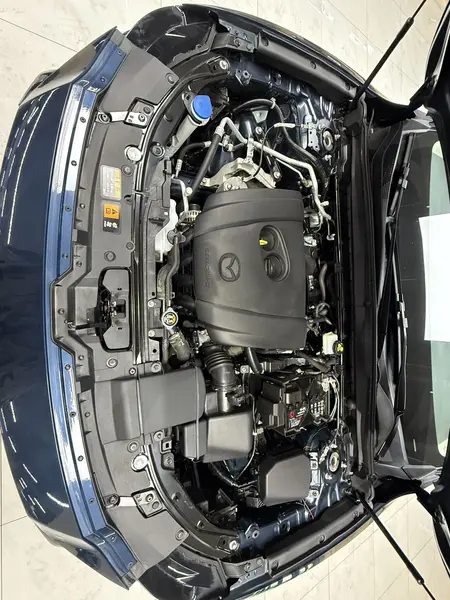 catalog-car-9
