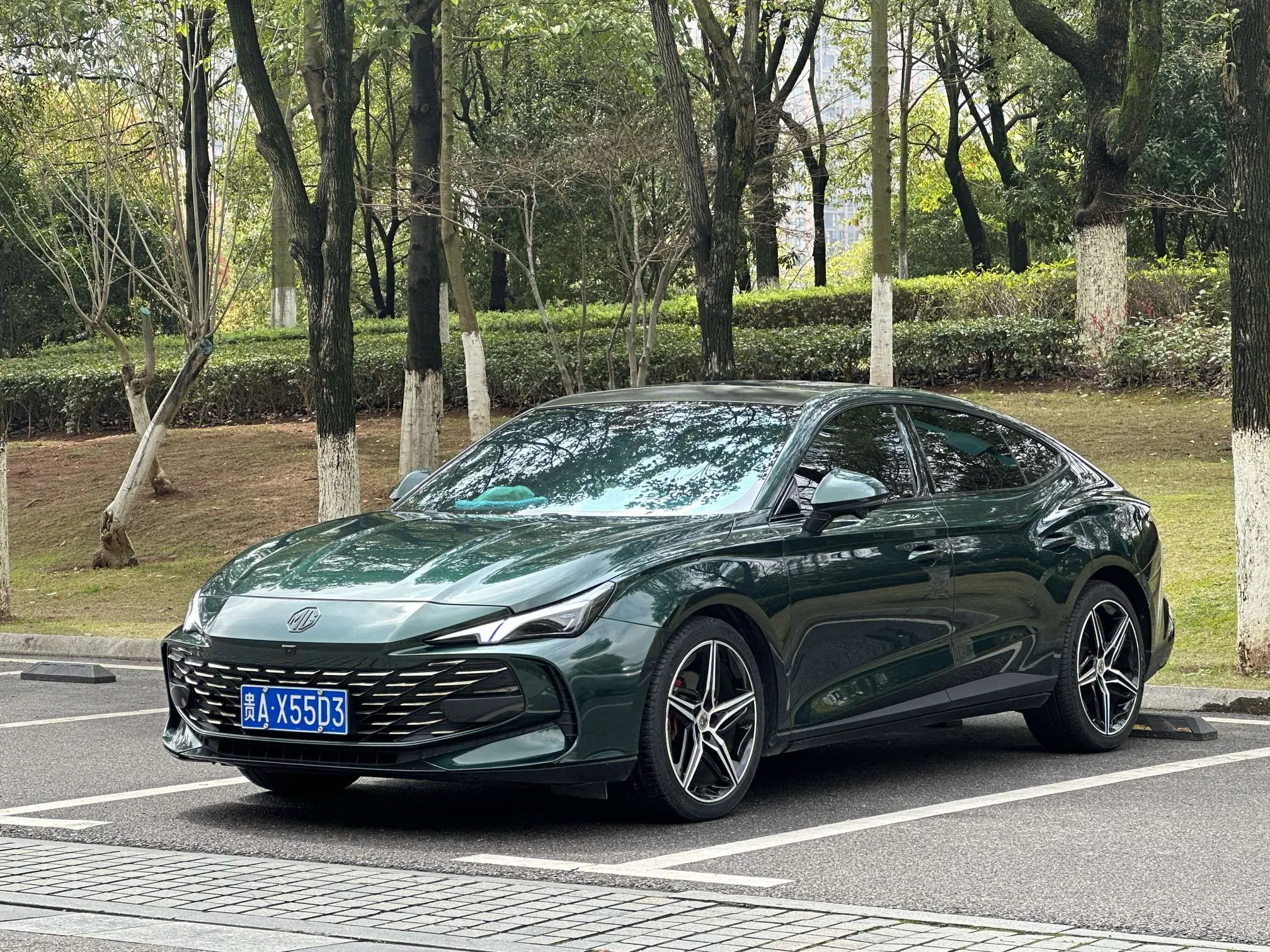 MG 7