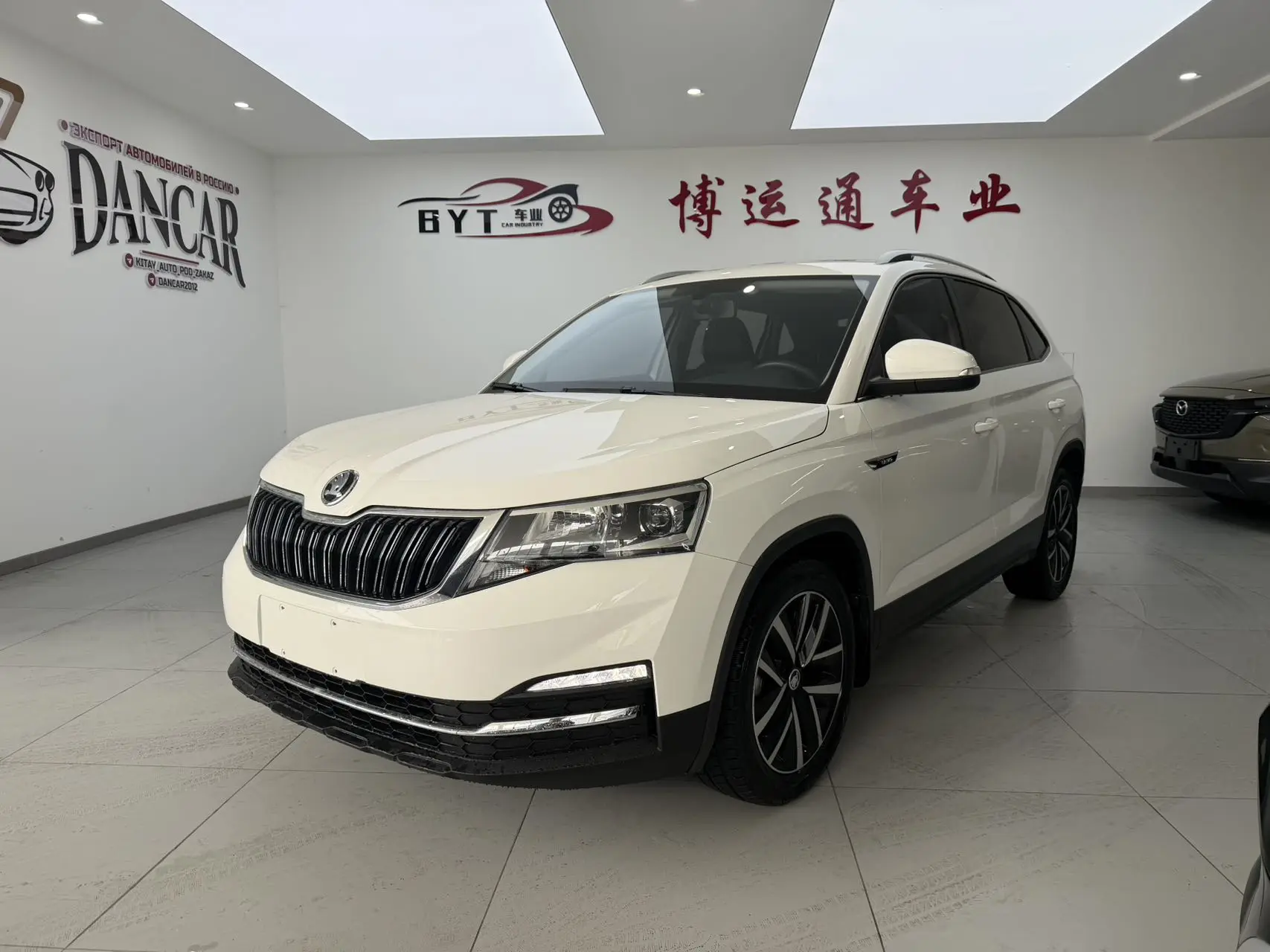 Skoda Comek