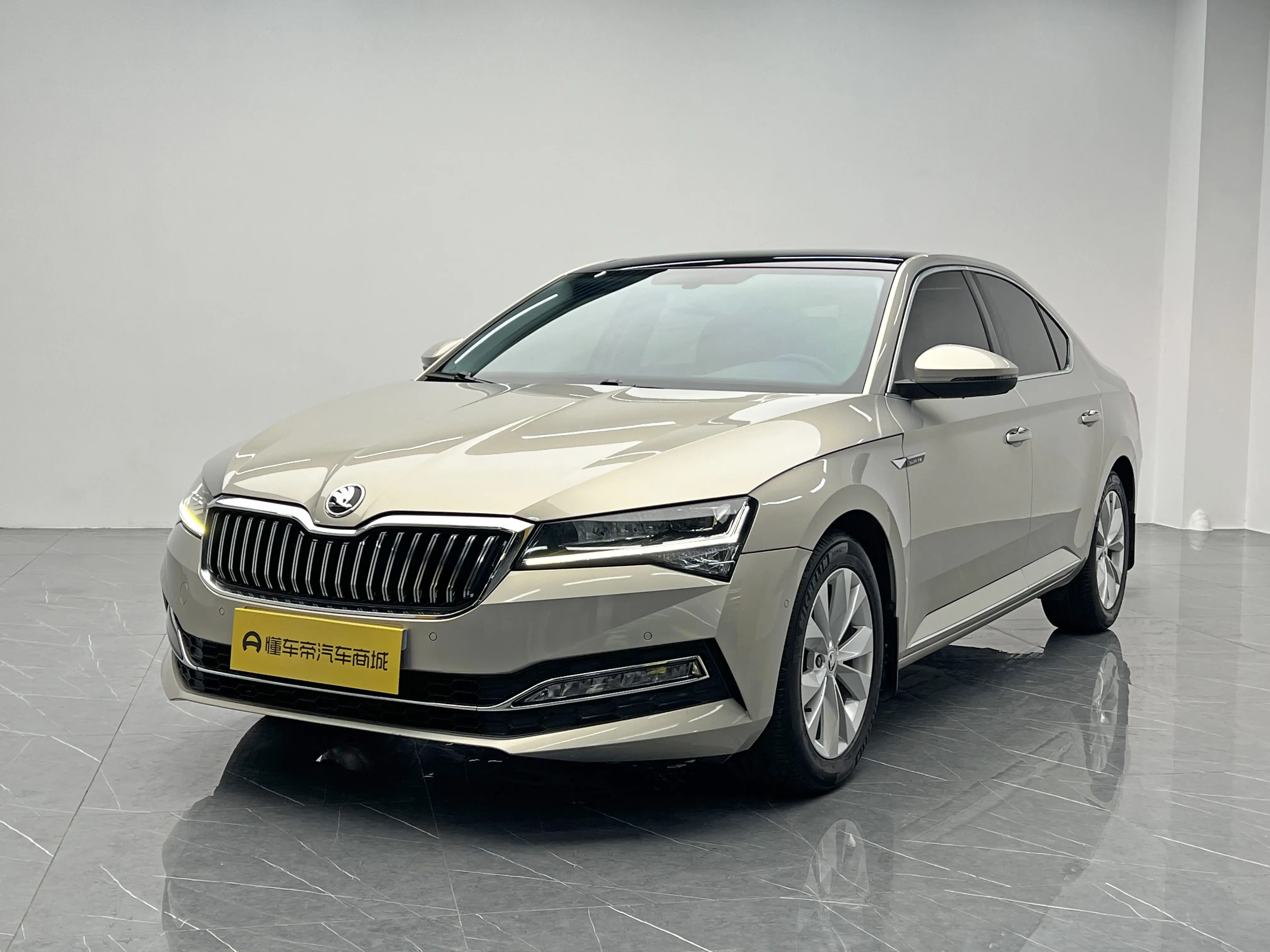 Skoda Speedy