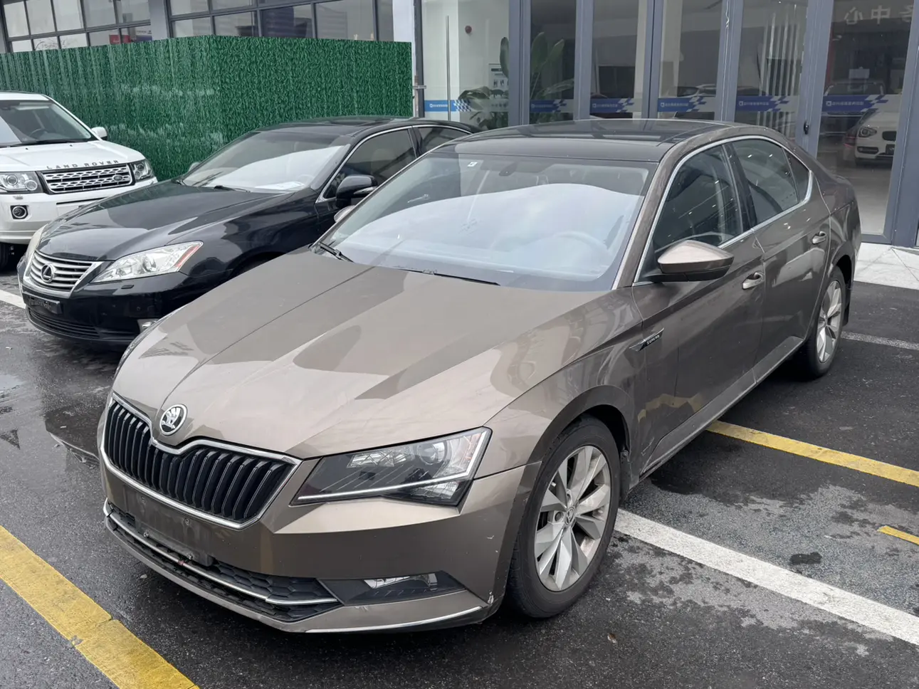 Skoda Speedy  из Китая