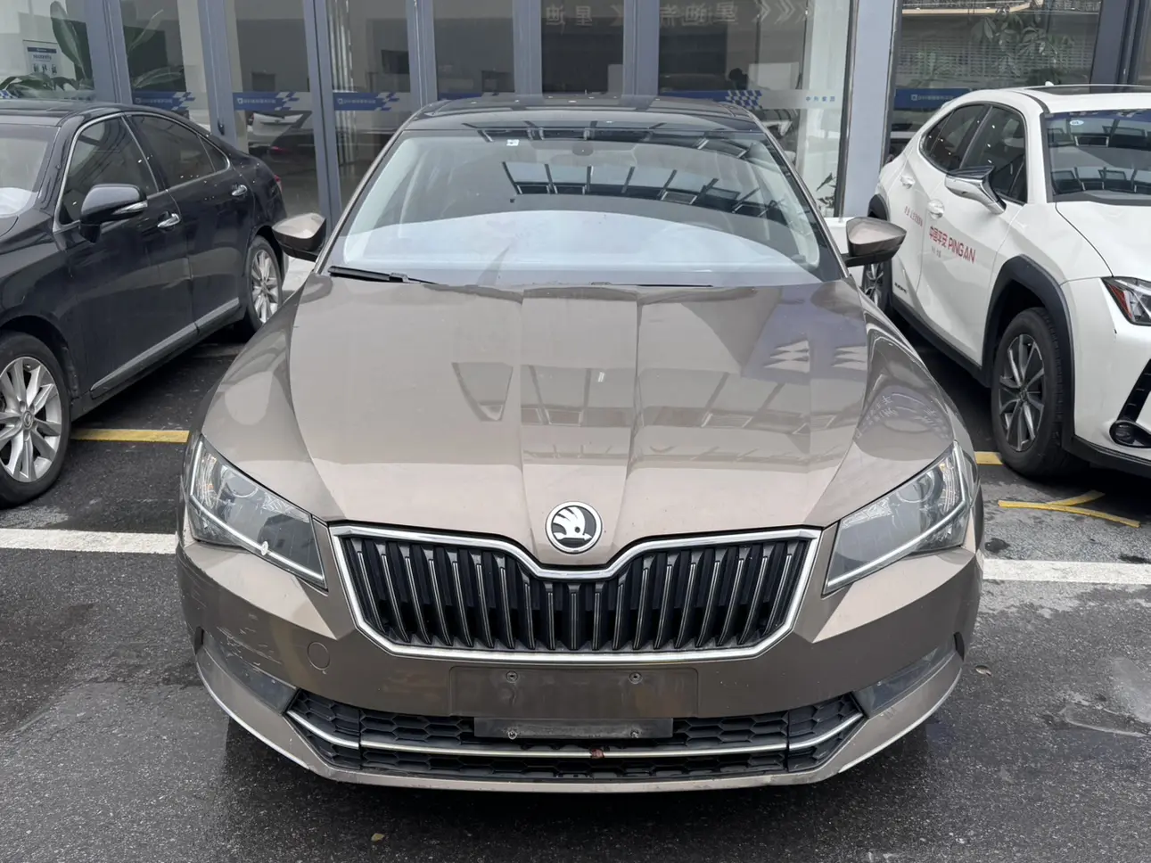 Skoda Speedy  из Китая