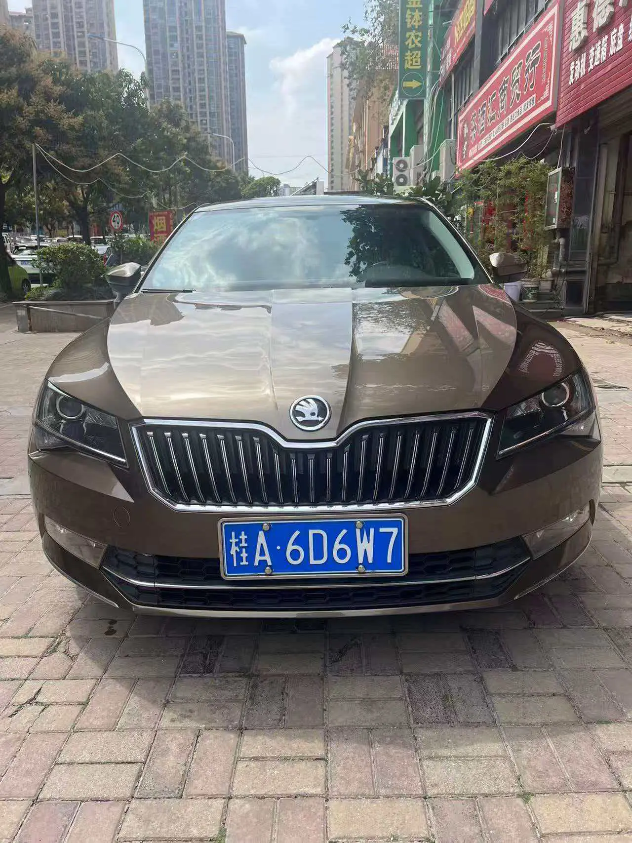 Skoda Speedy  из Китая