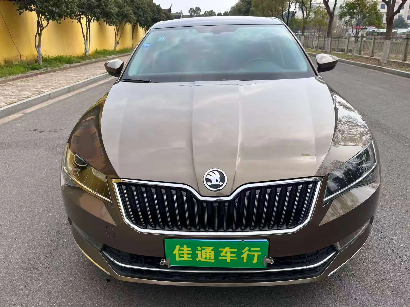 Skoda Speedy  из Китая