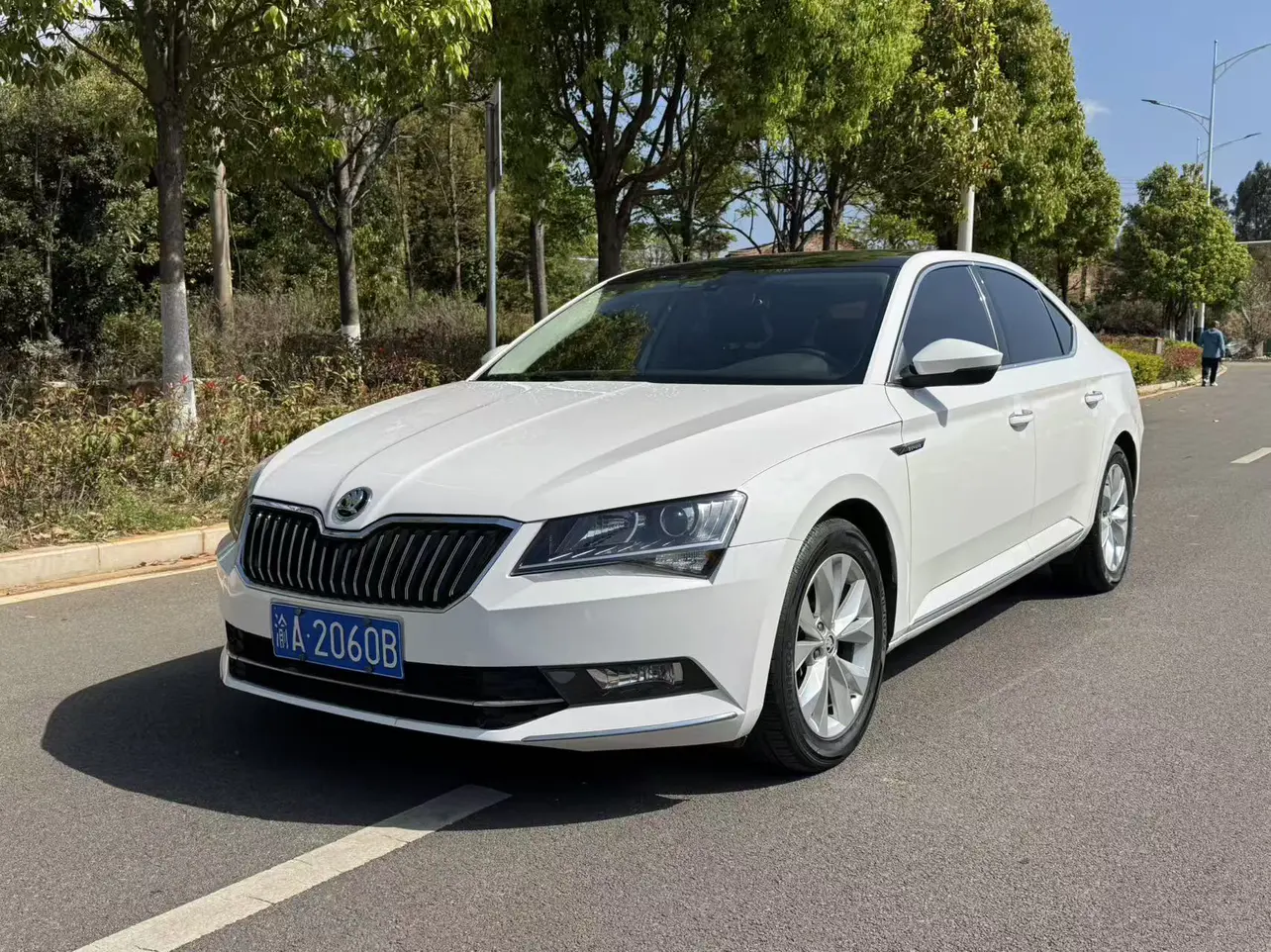 Skoda Speedy  из Китая