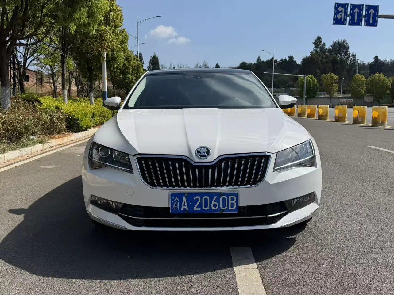 Skoda Speedy  из Китая