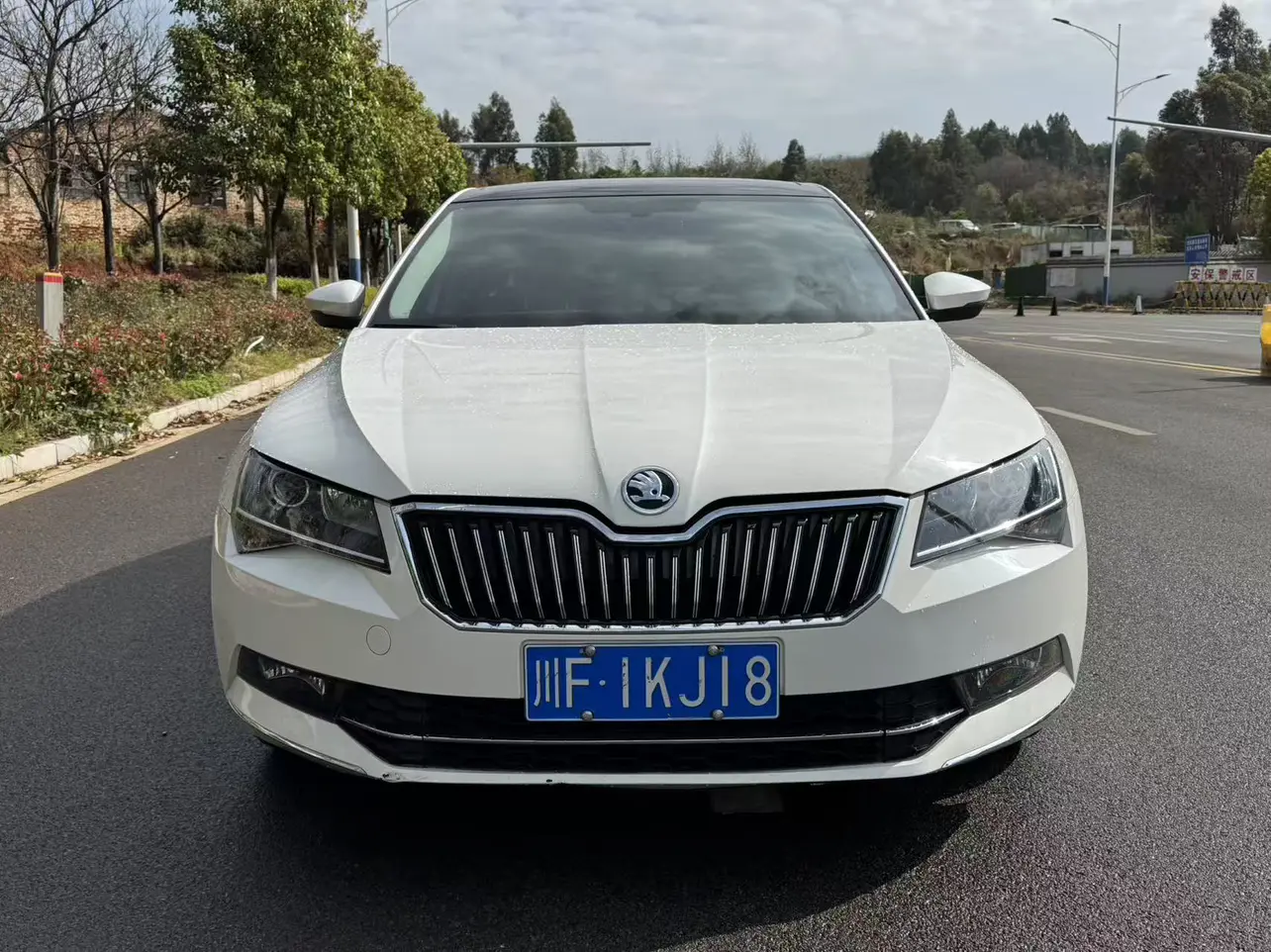 Skoda Speedy  из Китая