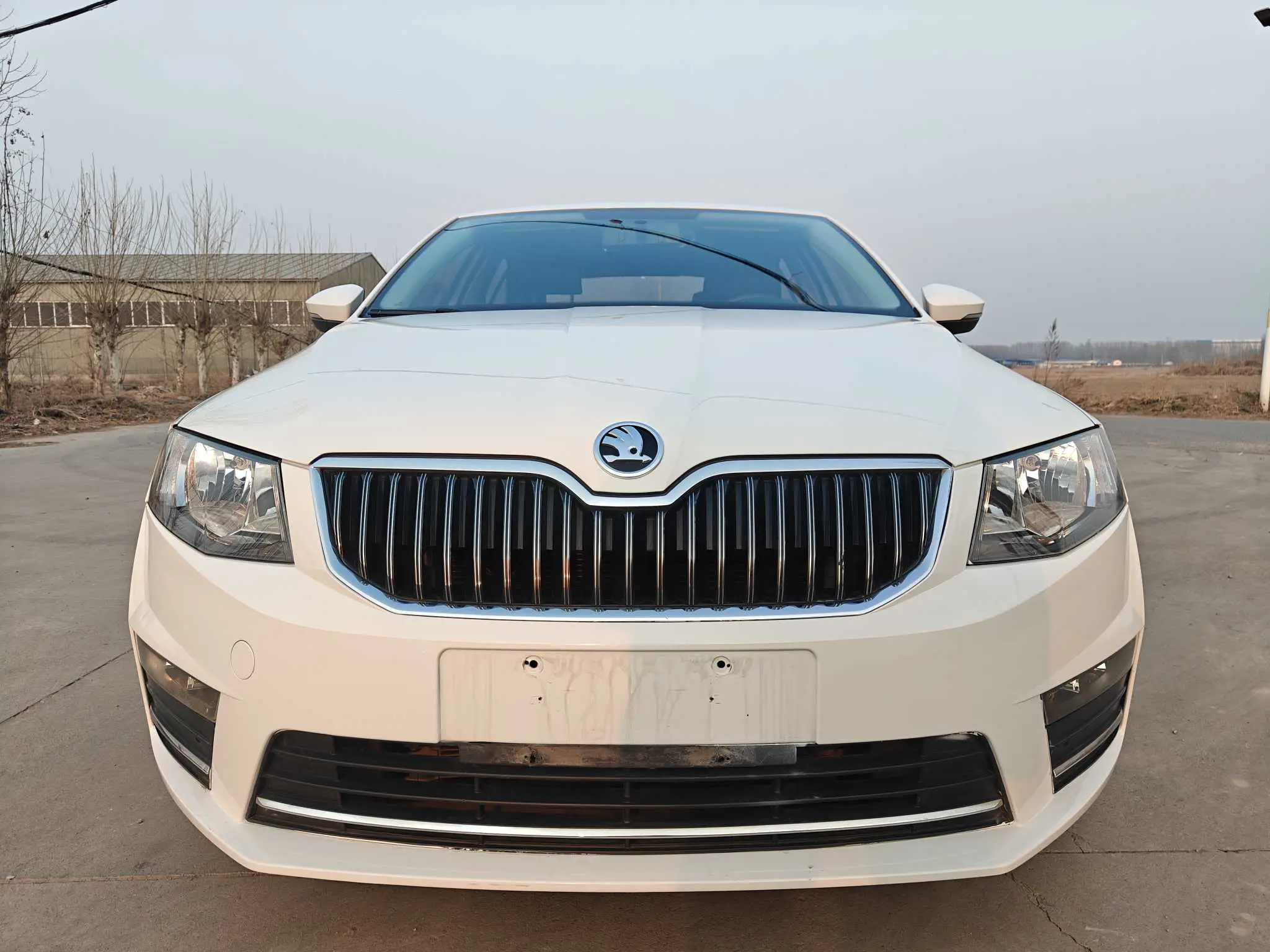 Skoda Octavia  из Китая