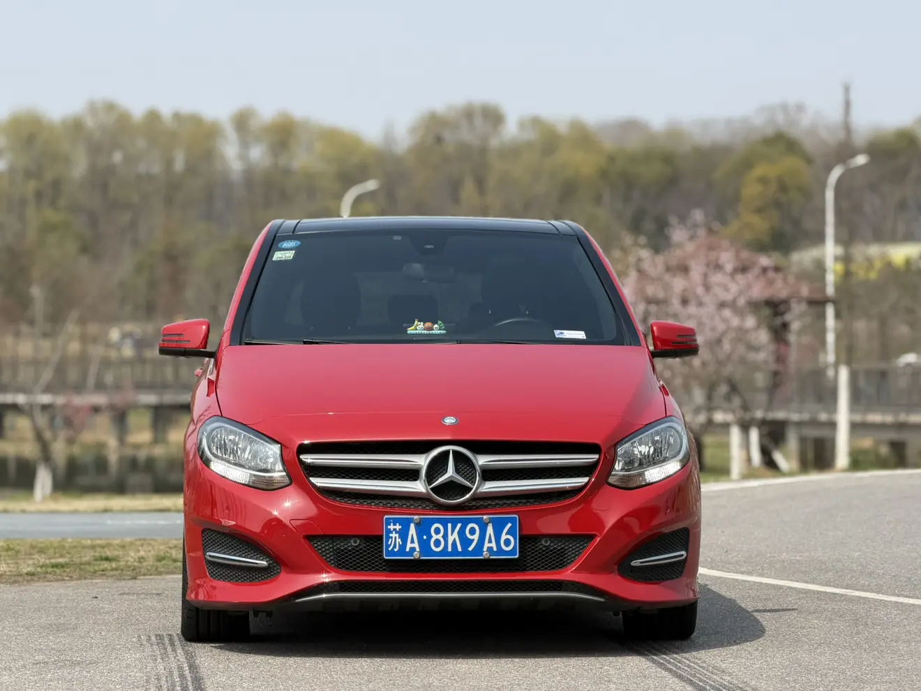Mercedes-Benz Mercedes Benz B Class  из Китая