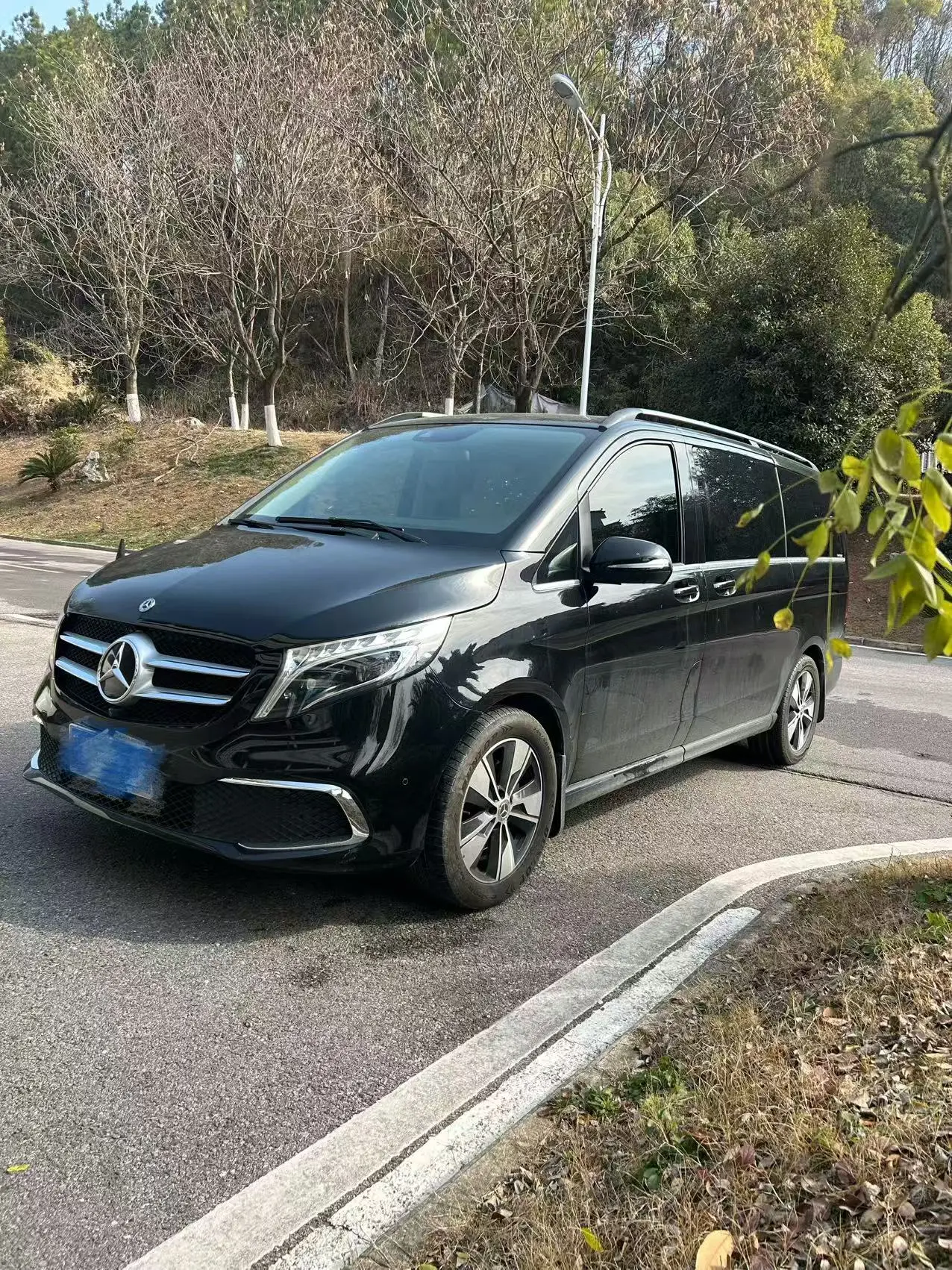 Mercedes-Benz Mercedes Benz V Class
