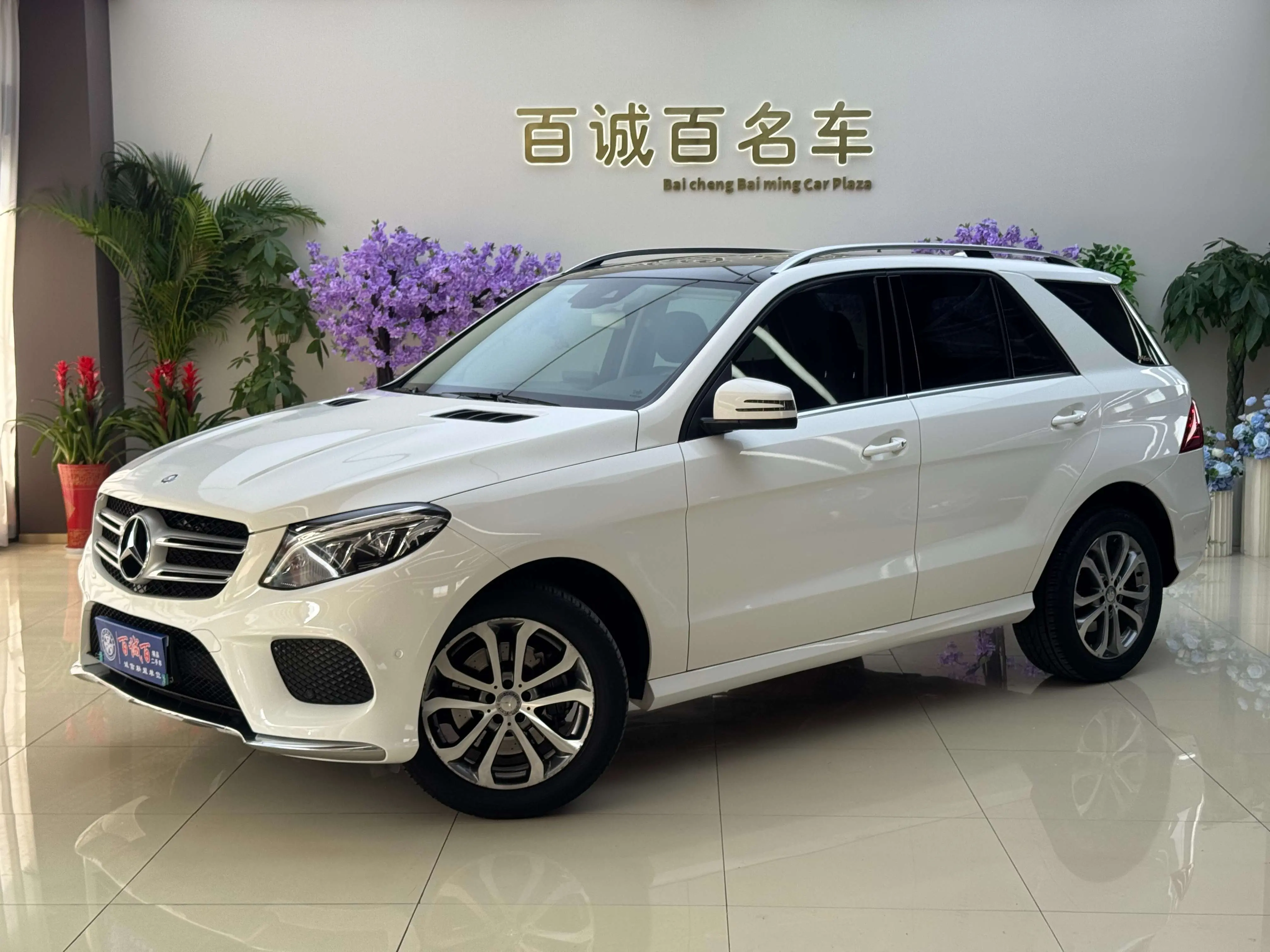 Mercedes-Benz GLE (Imported)