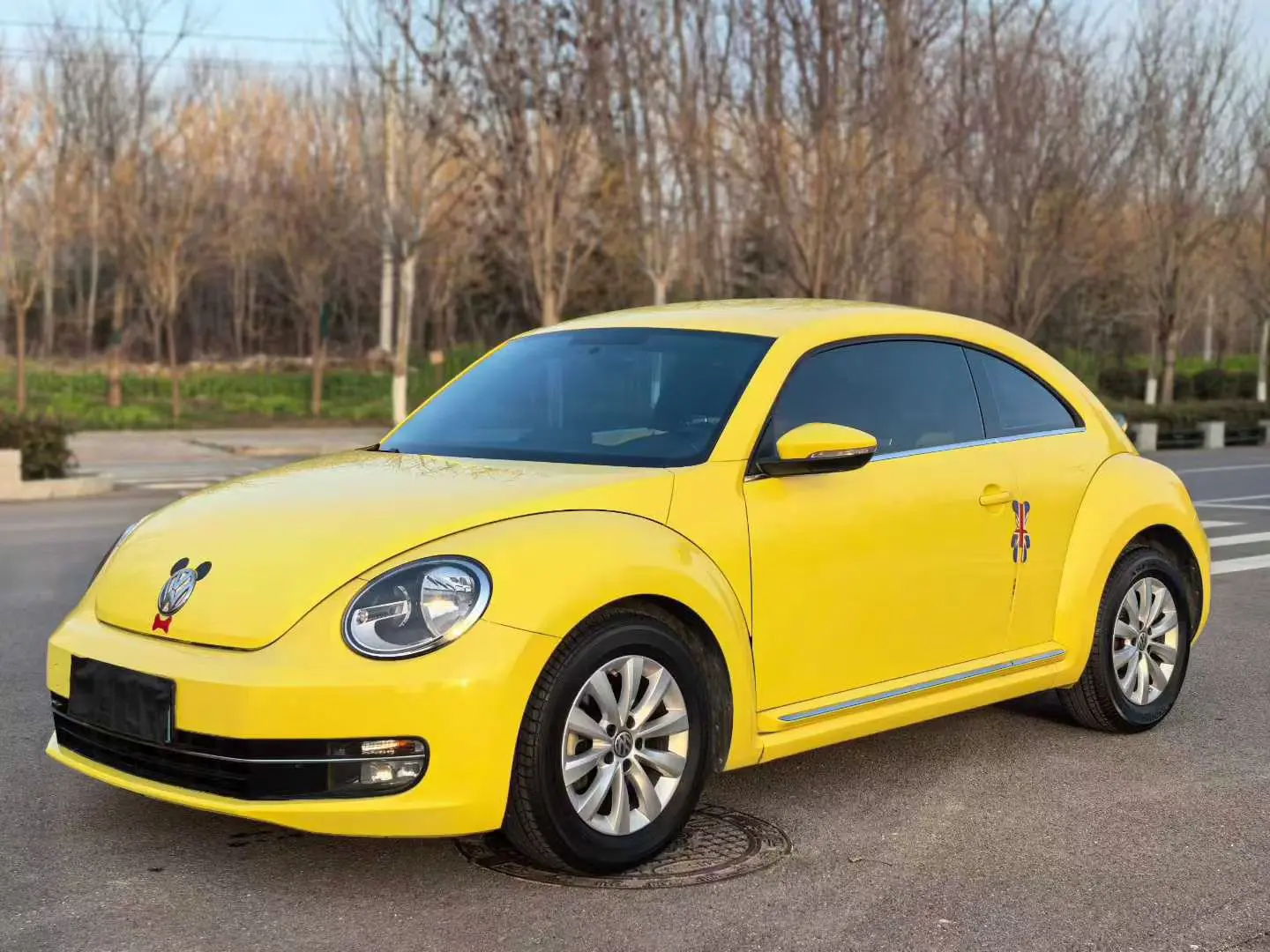 Volkswagen Beetle  из Китая