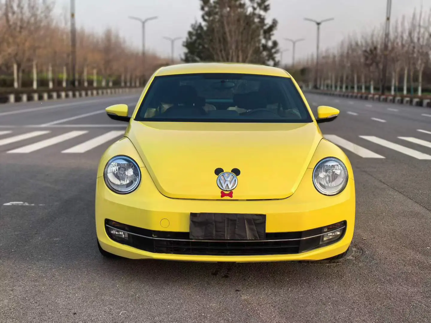 Volkswagen Beetle  из Китая