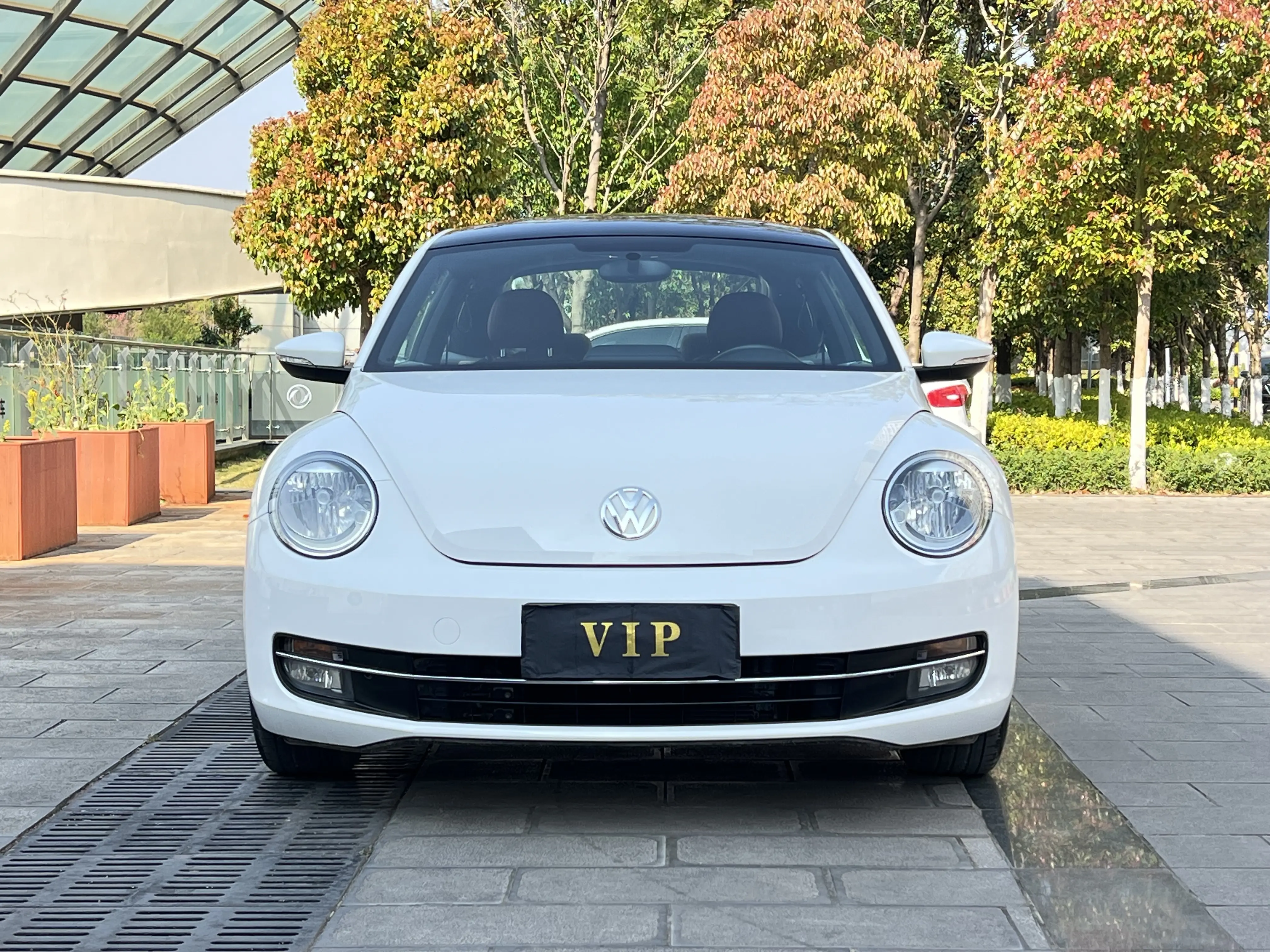 Volkswagen Beetle  из Китая