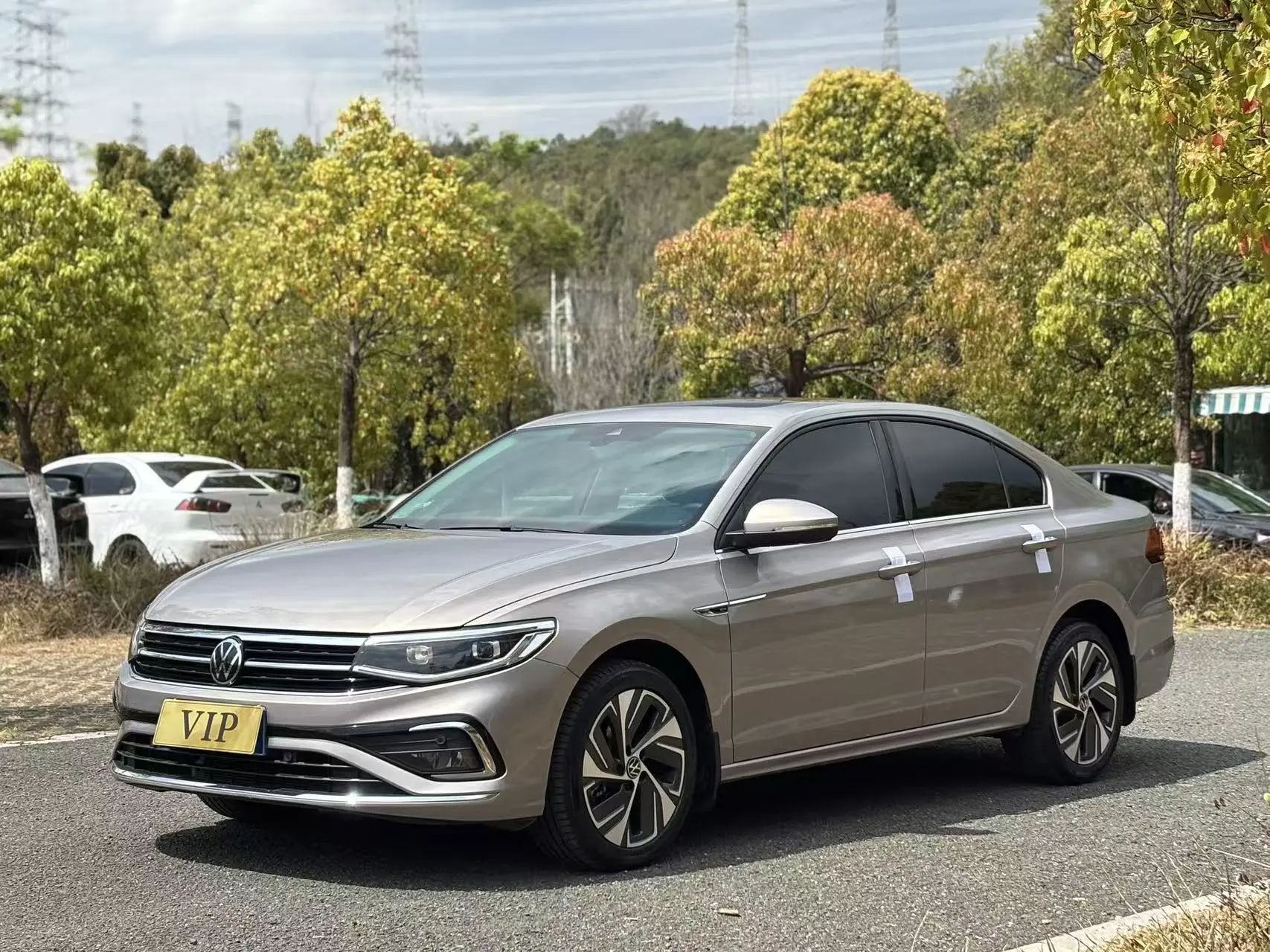 Volkswagen Bora