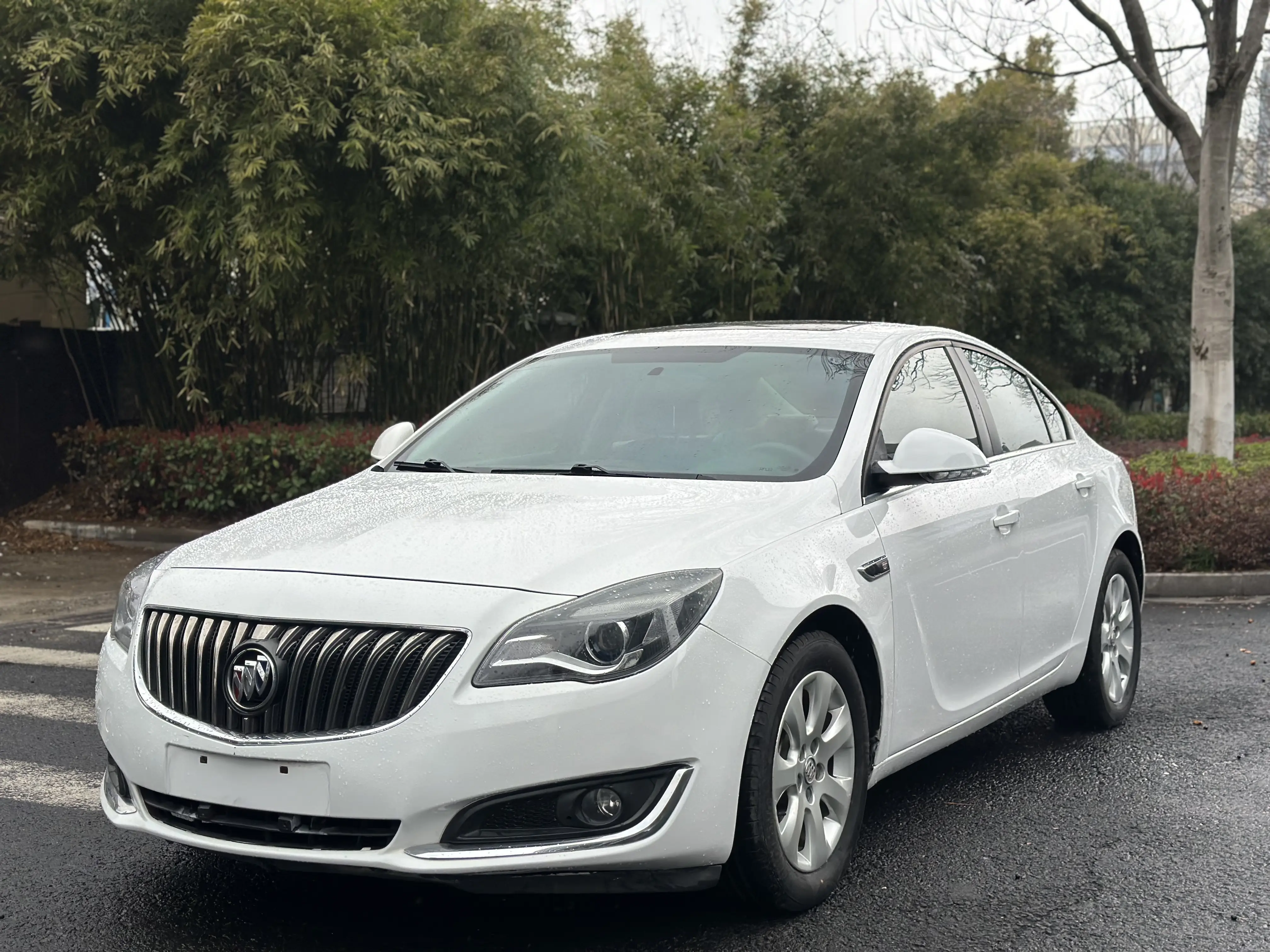 Buick Majesty