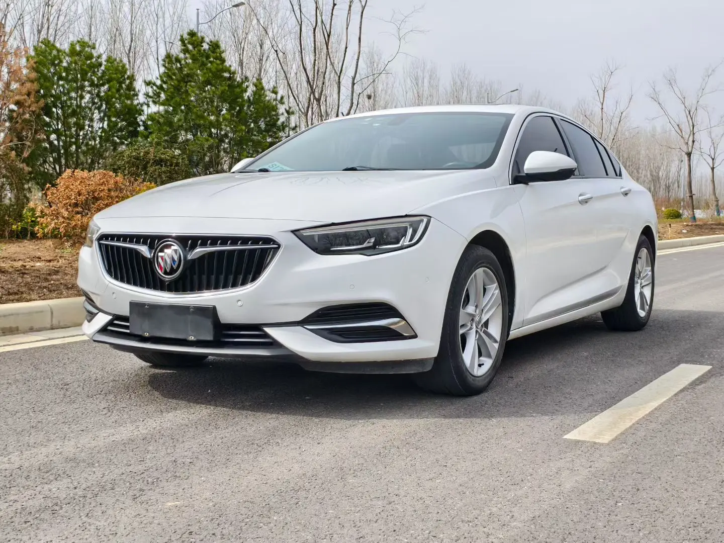 Buick Majesty