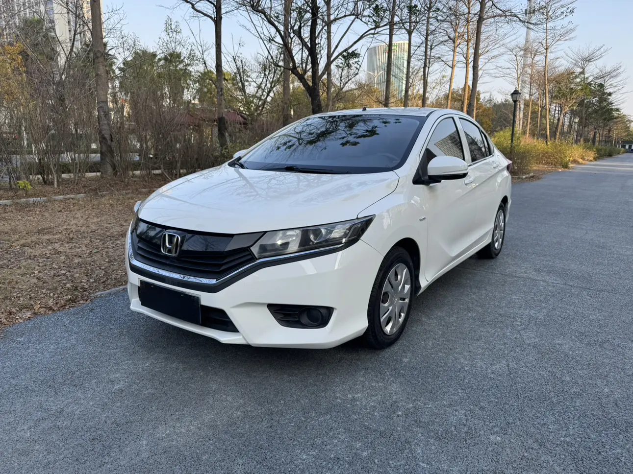 Honda Gray