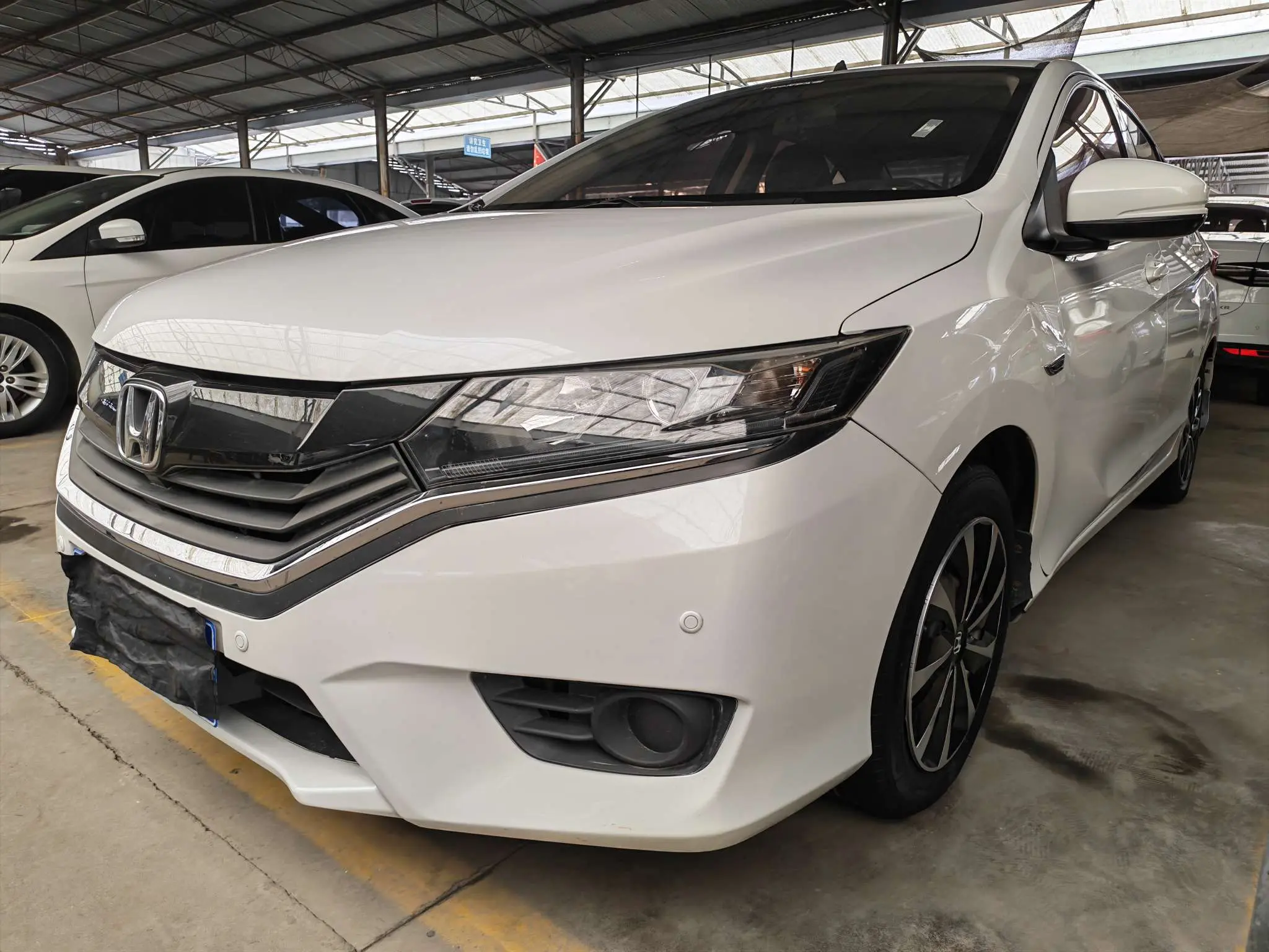 Honda Gray