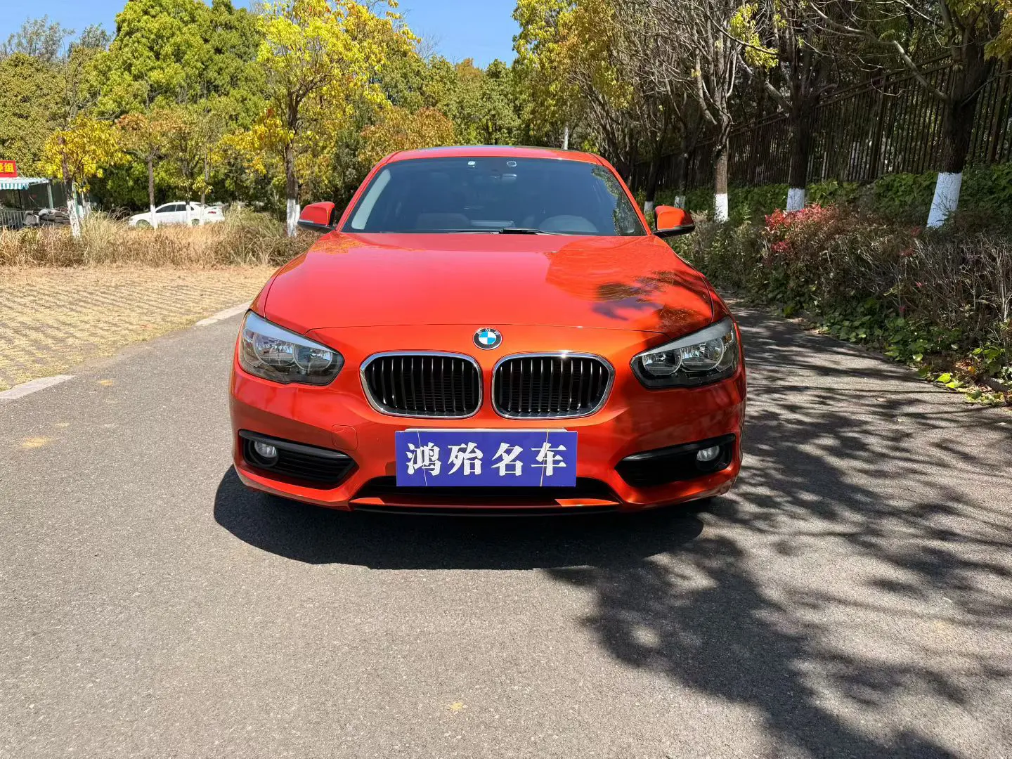 BMW 1 Series  из Китая