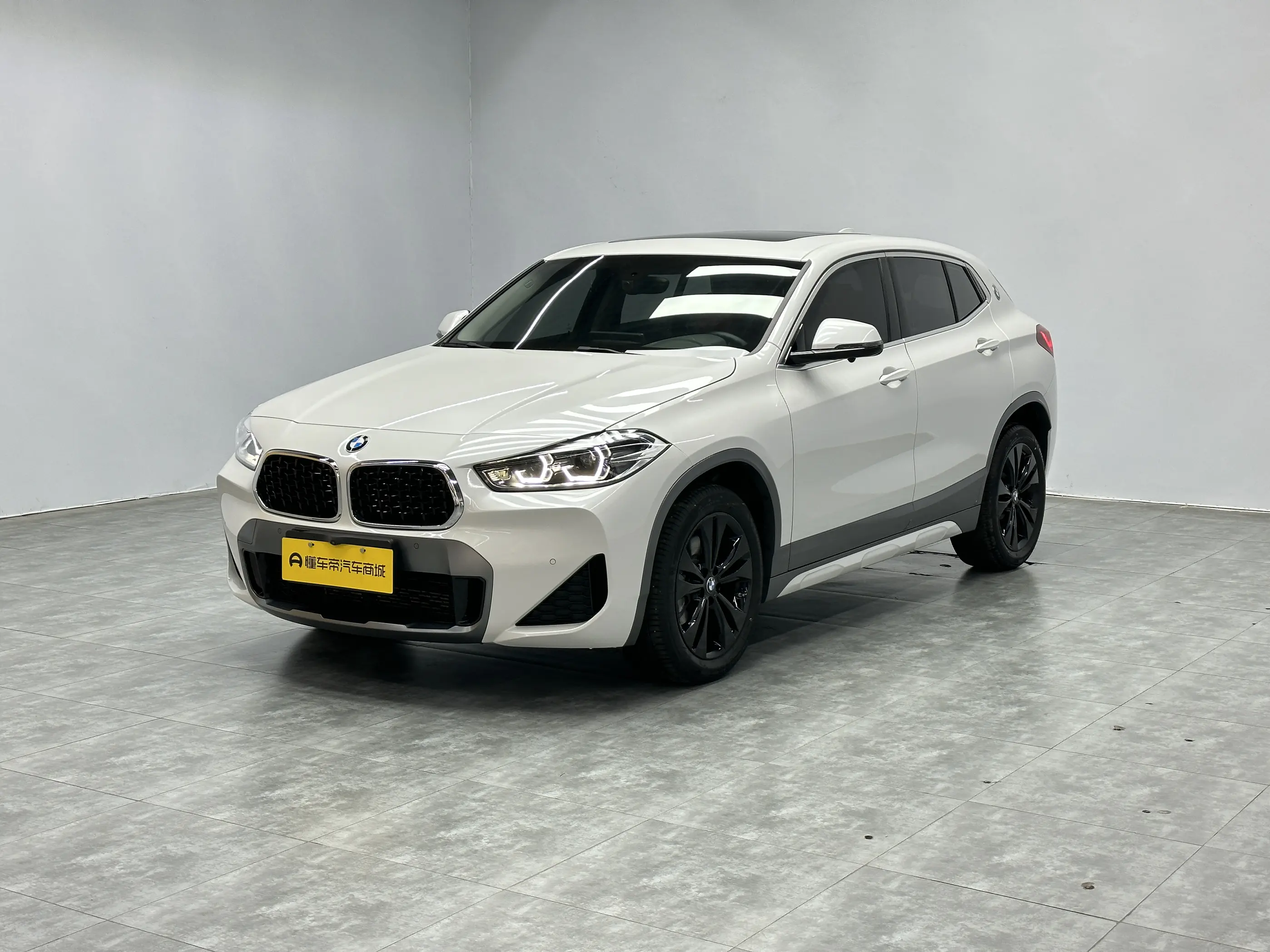 BMW X2