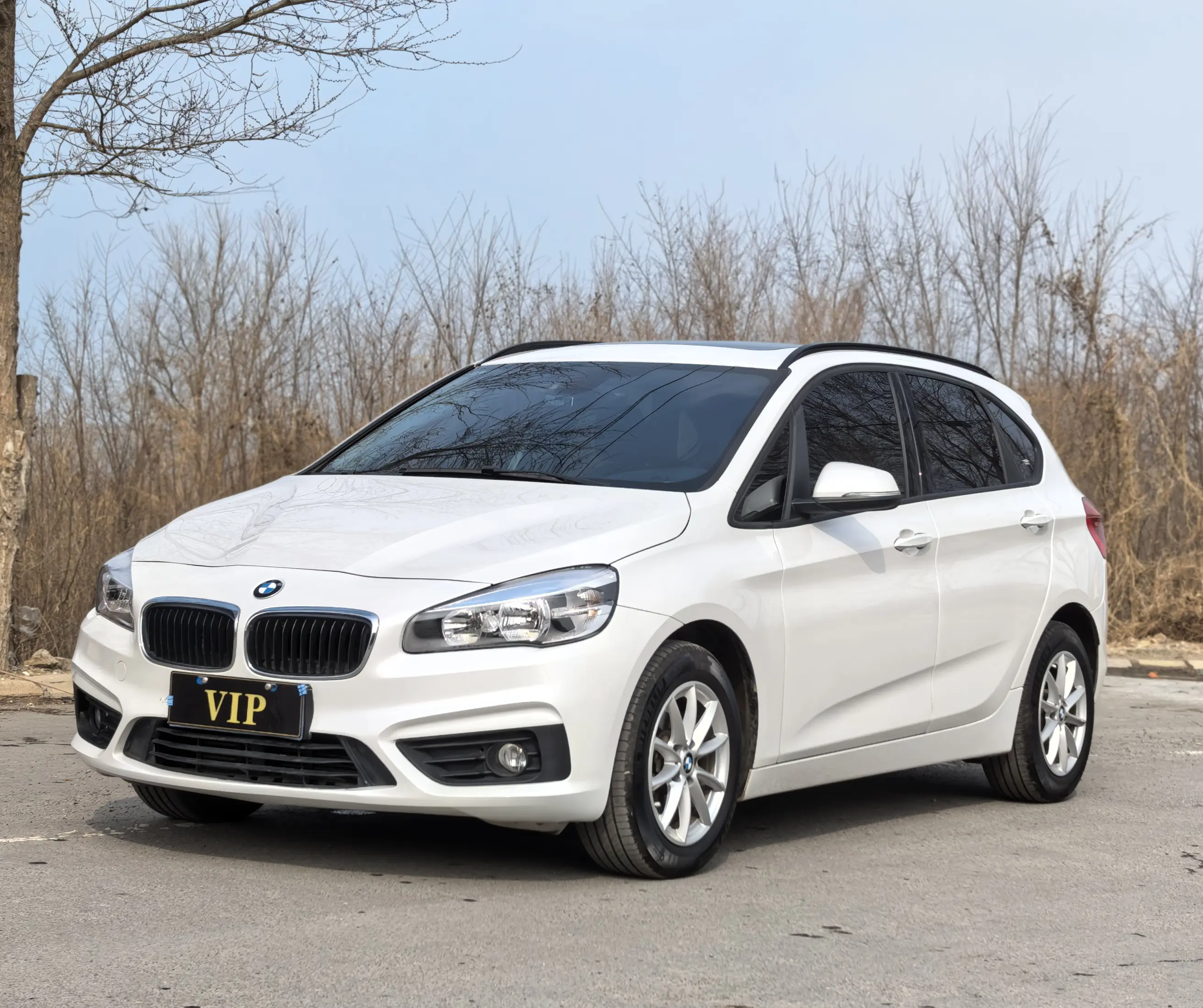 BMW 2 Series Active Tourer  из Китая