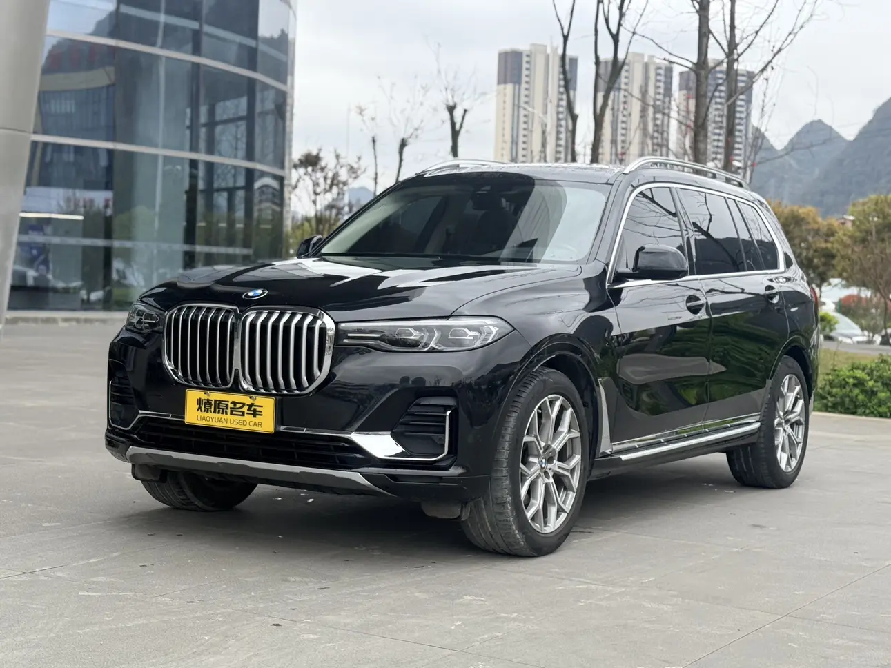 BMW X7