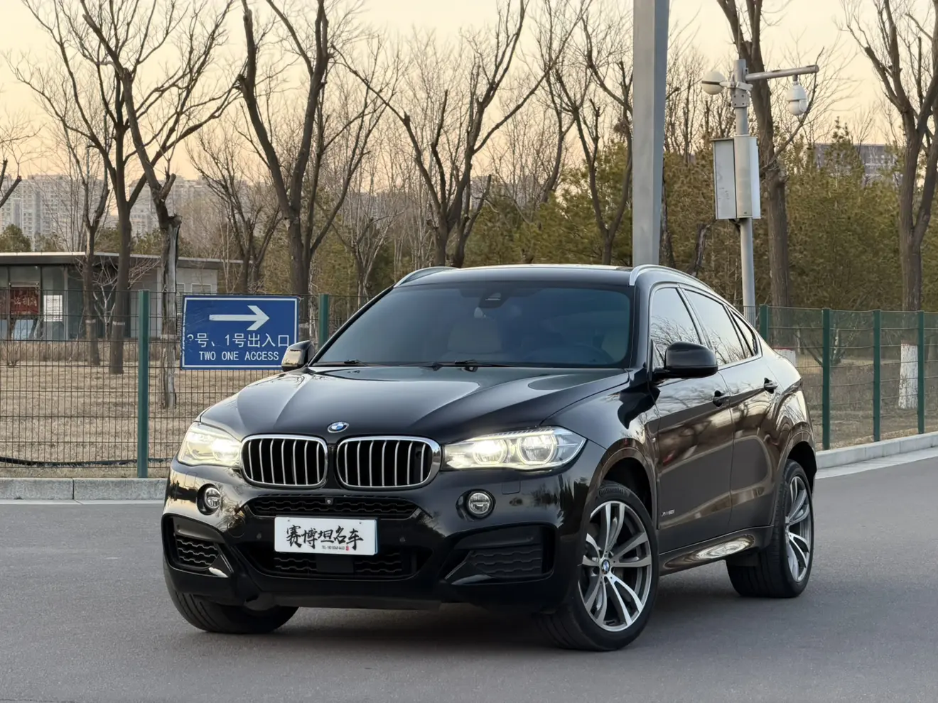 BMW X6
