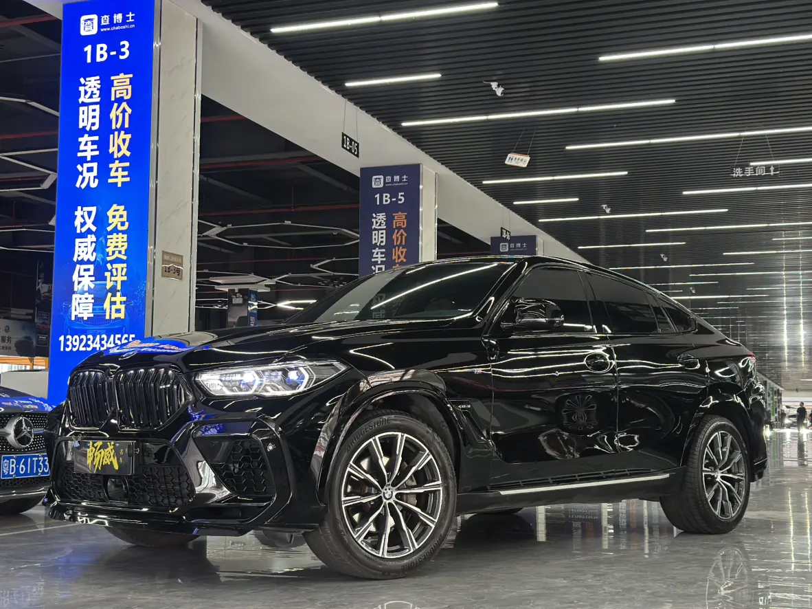 BMW X6