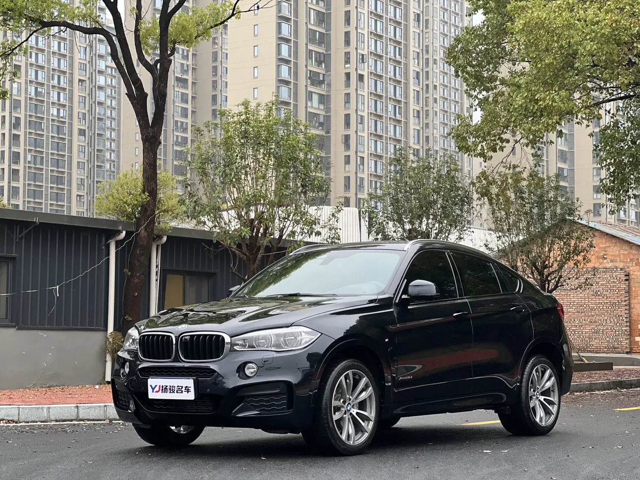 BMW X6