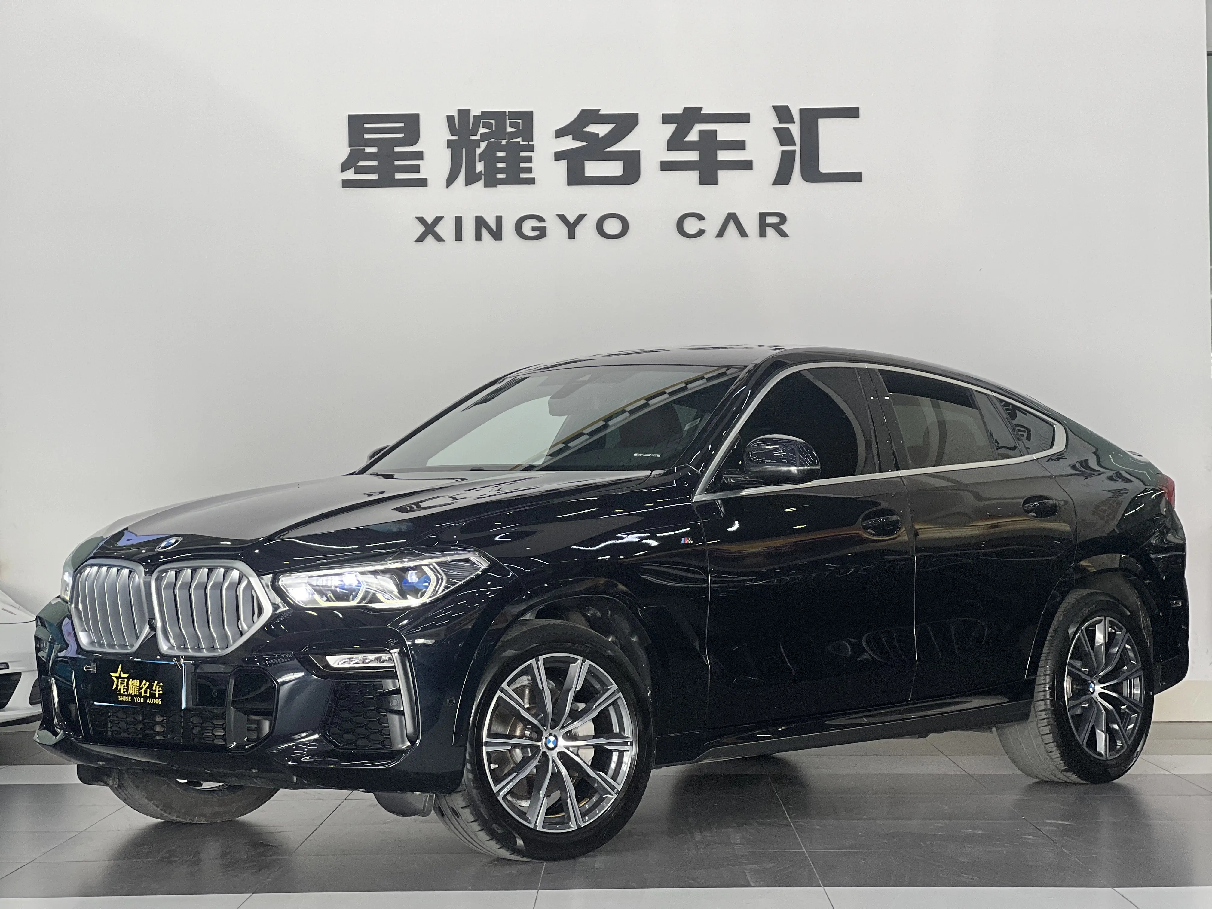 BMW X6