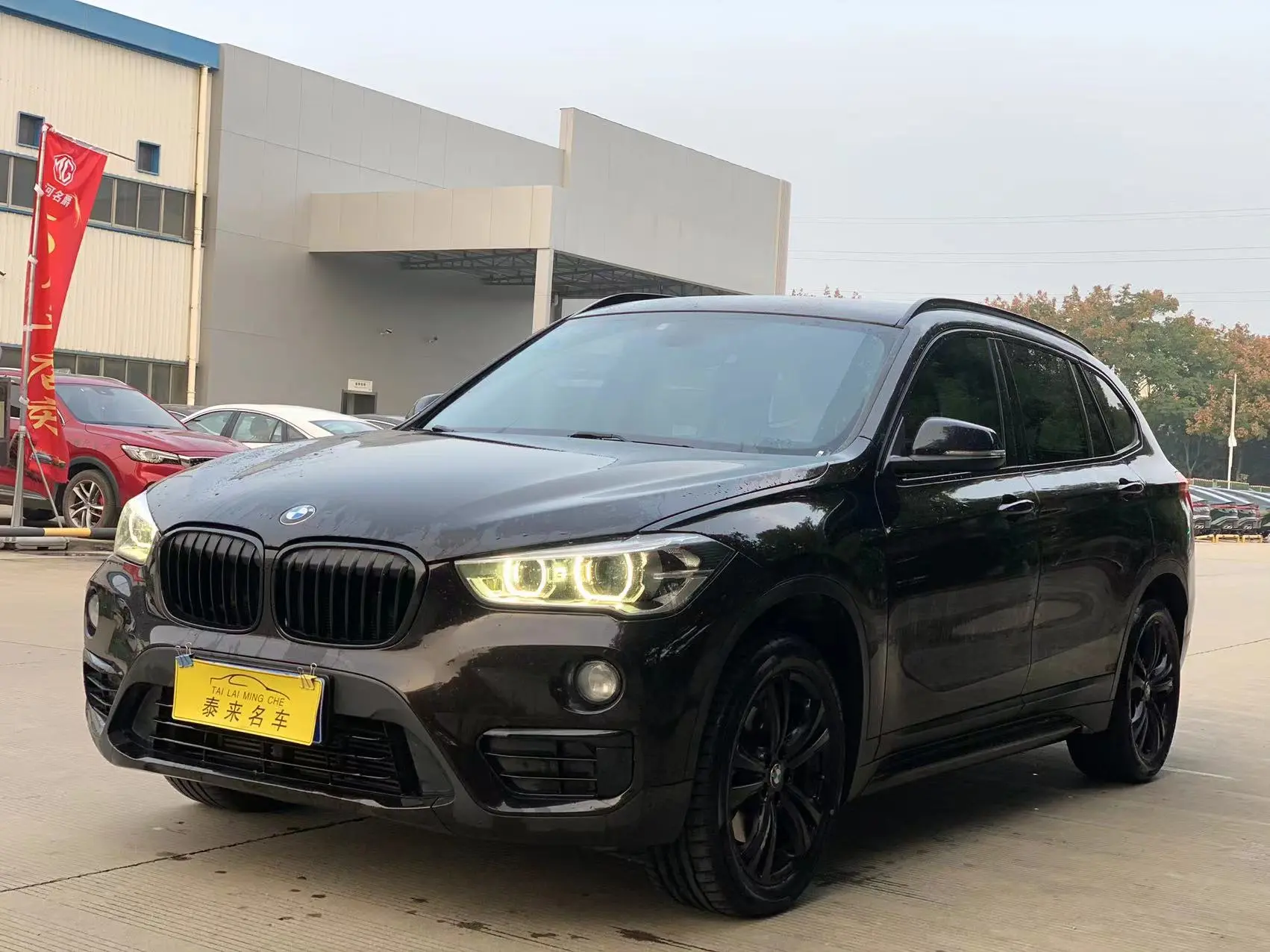 BMW X1