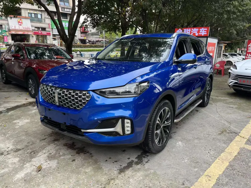 Wey Wei brand VV6