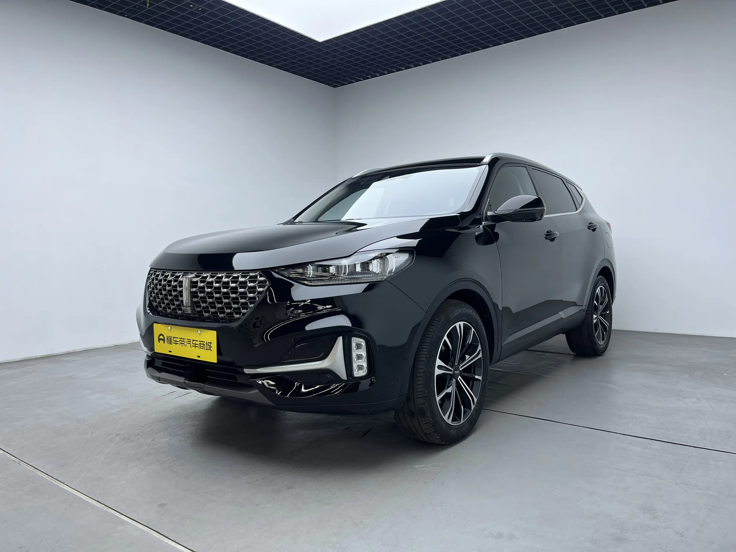 Wey Wei brand VV6
