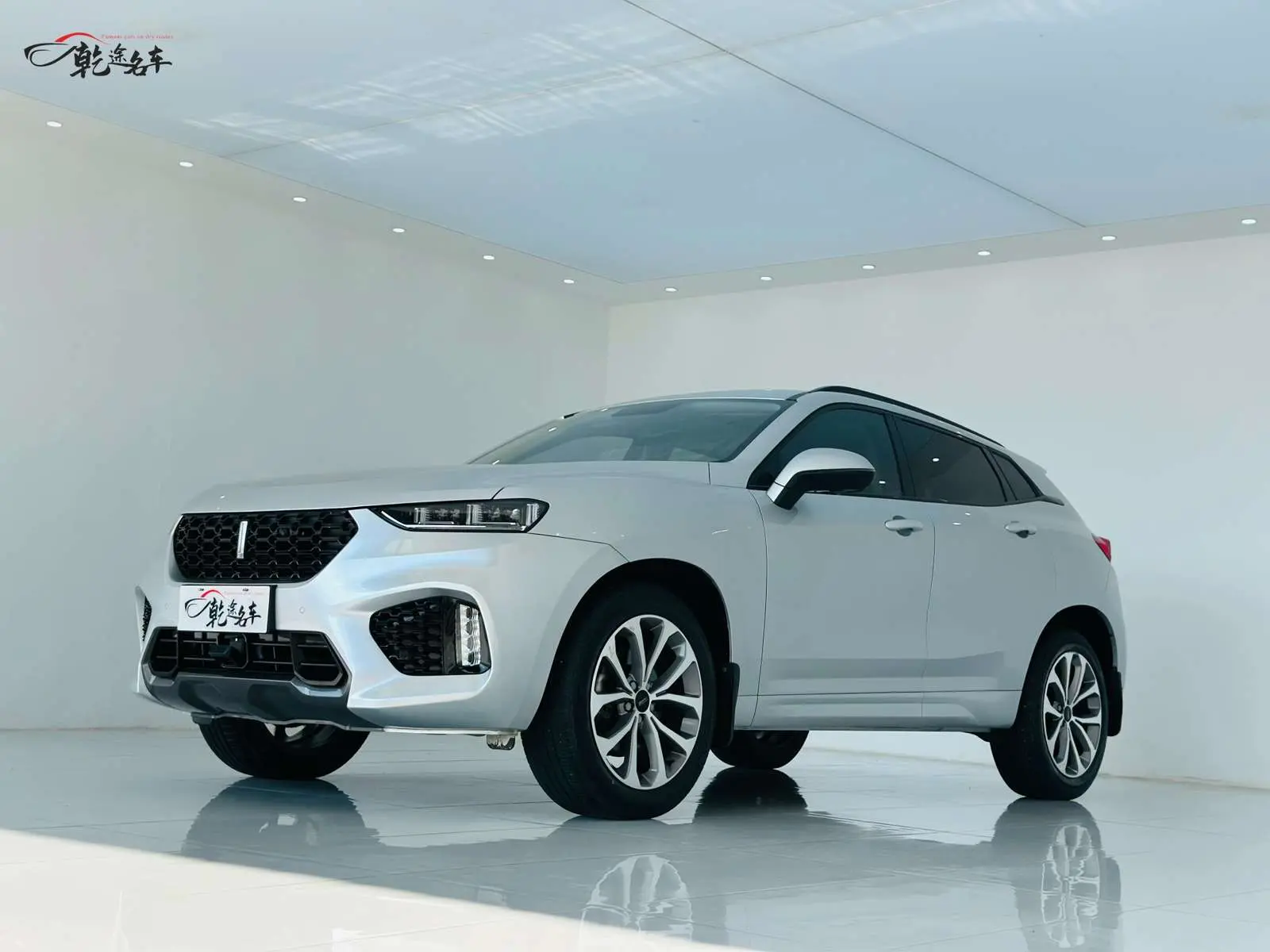 Wey Wei brand VV7