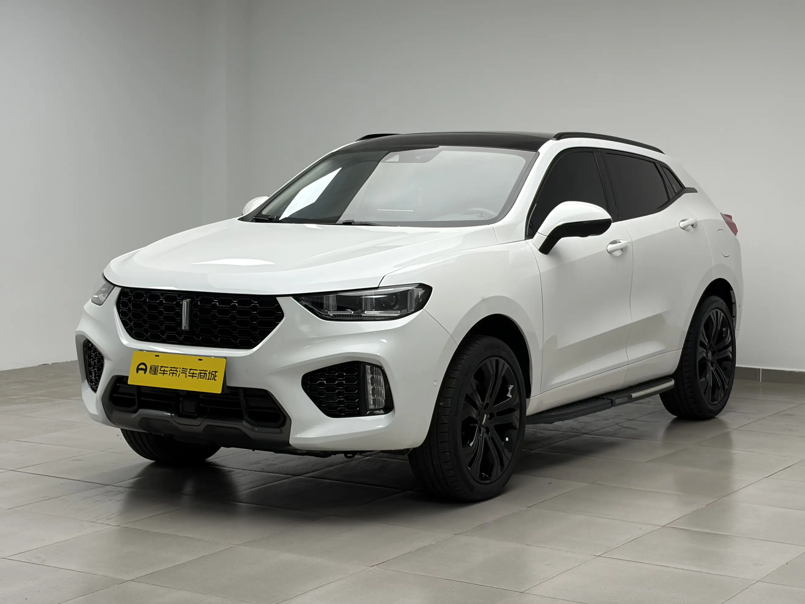 Wey Wei brand VV5