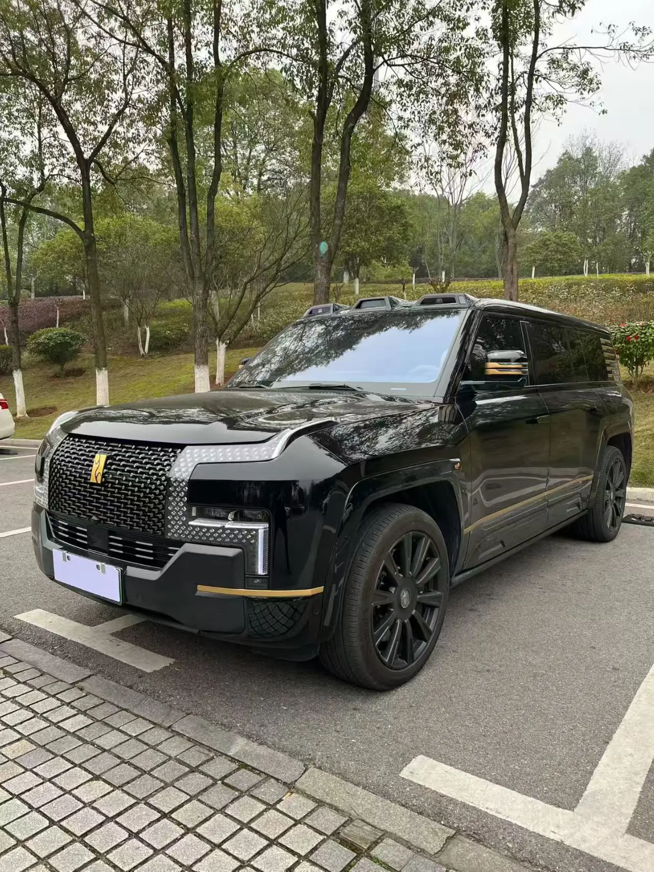 BYD Looking up at the U8L  из Китая