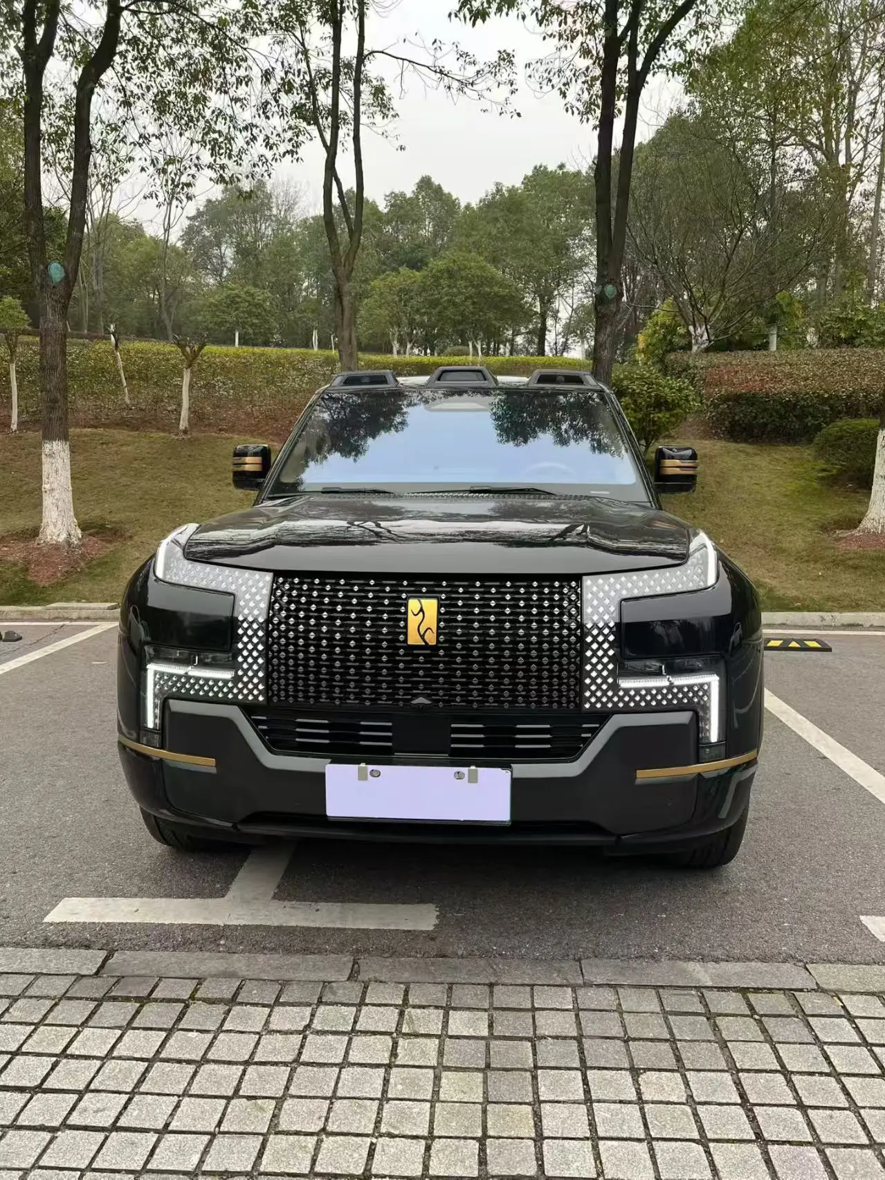 BYD Looking up at the U8L  из Китая