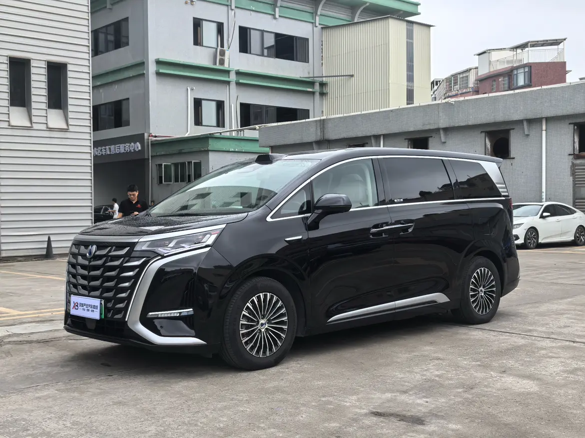 Denza D9 DM