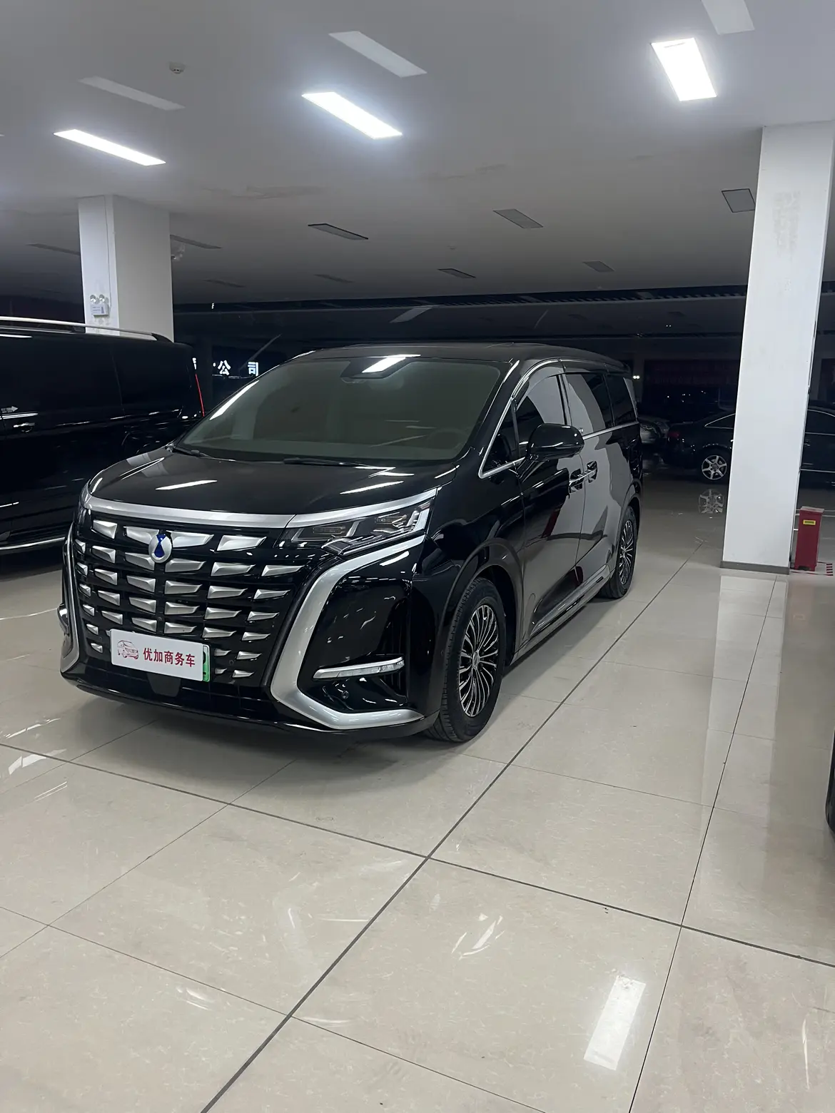 Denza D9 DM