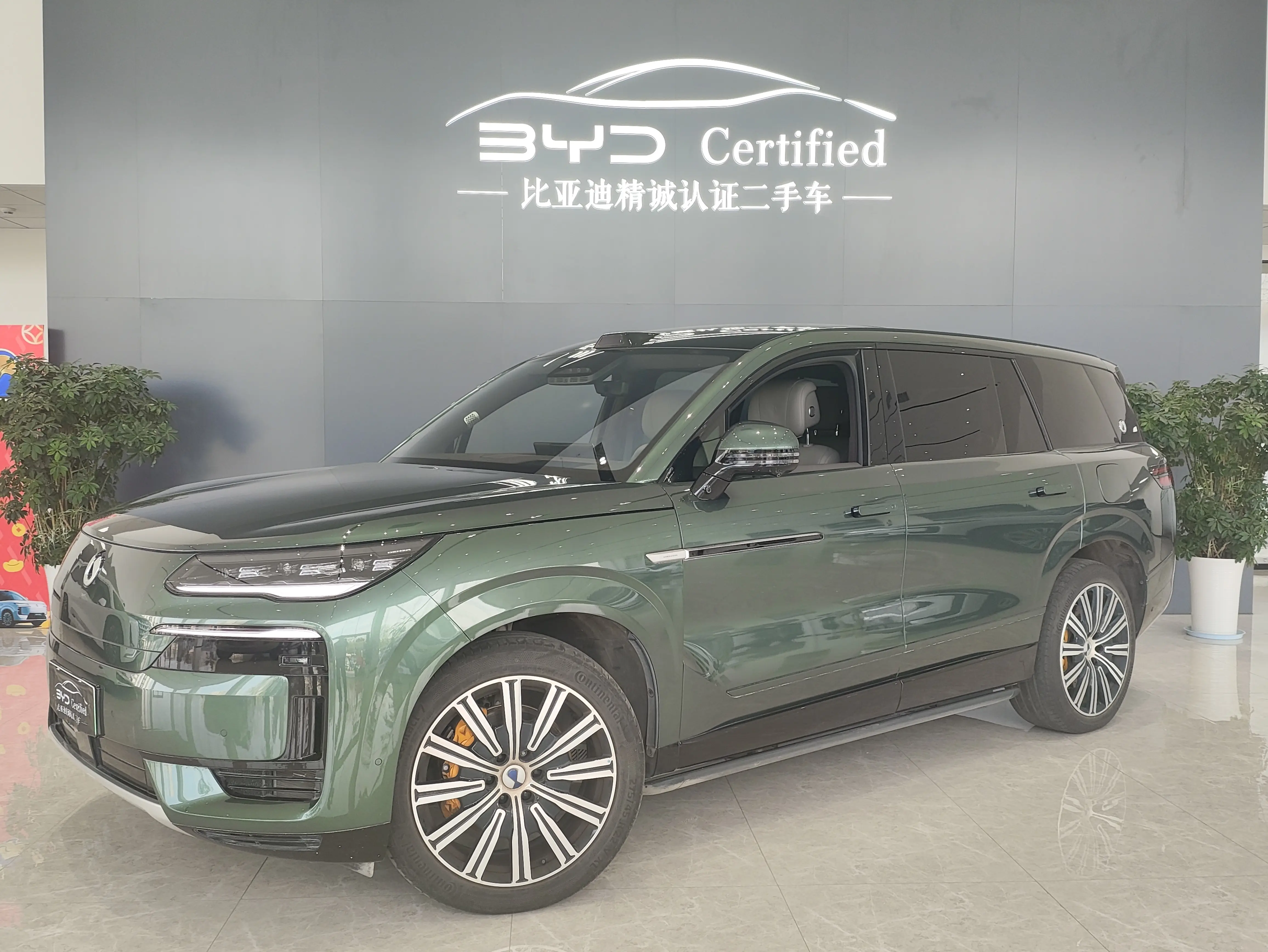 Denza Tengzhong N9 DM