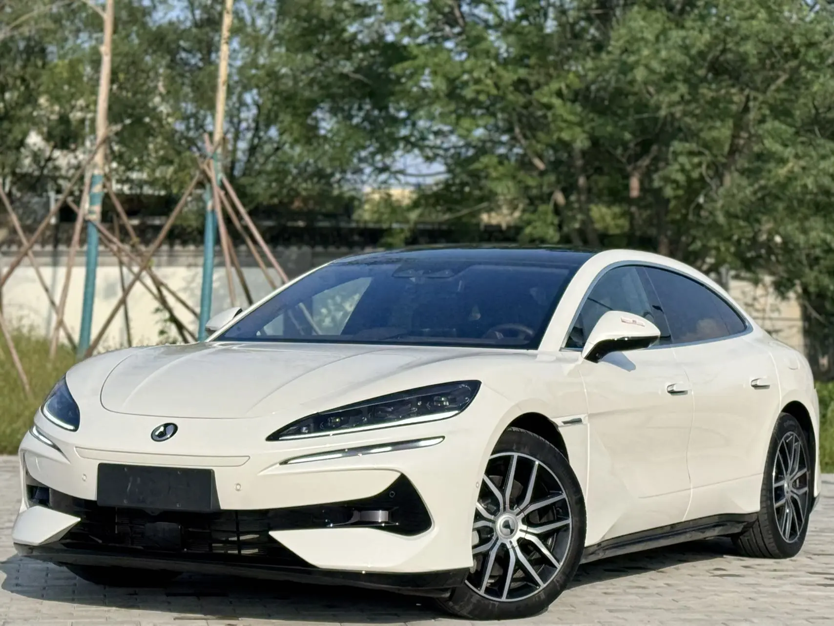 Denza Tengzhong Z9 DM