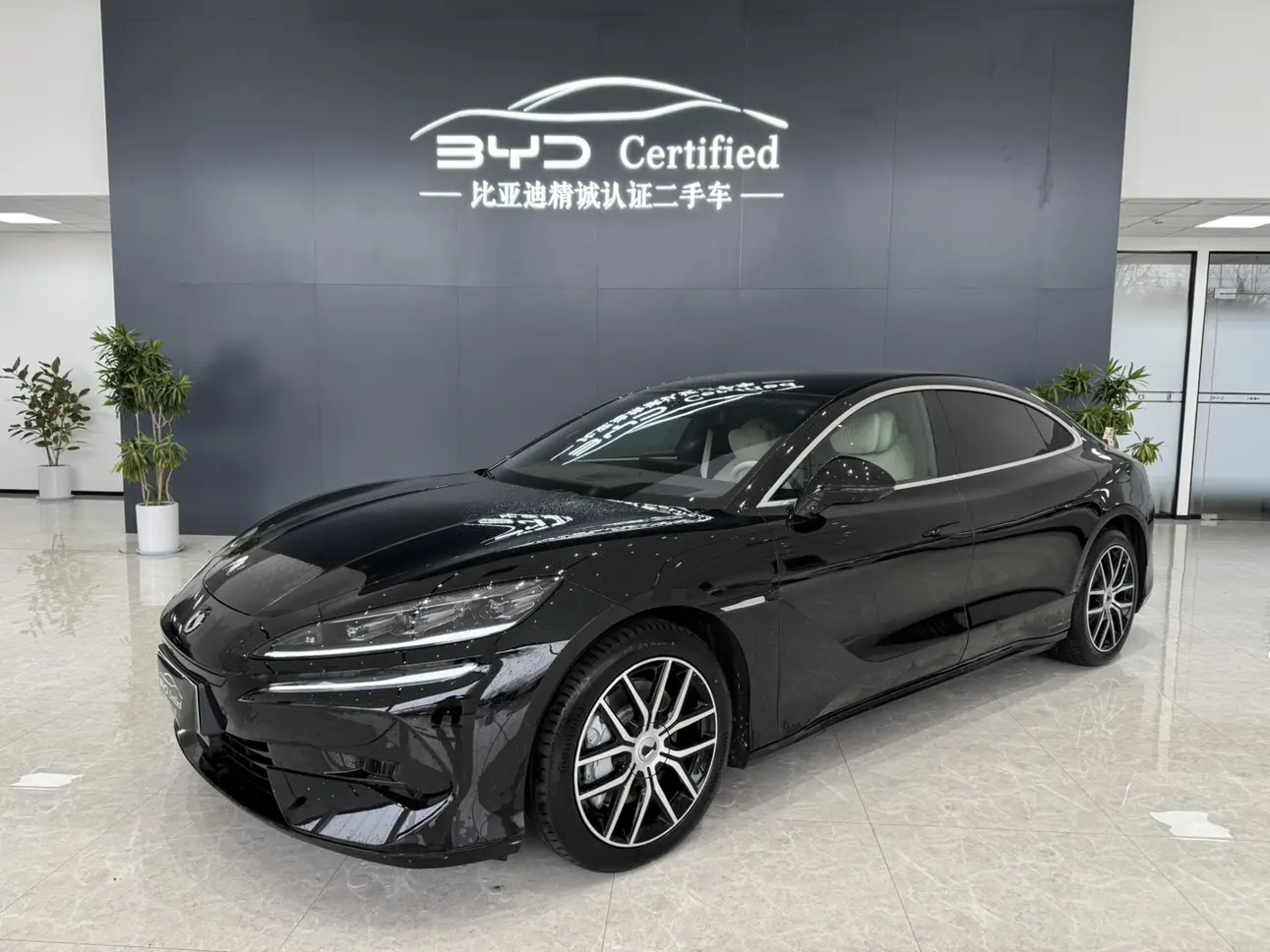 Denza Tengzhong Z9 DM