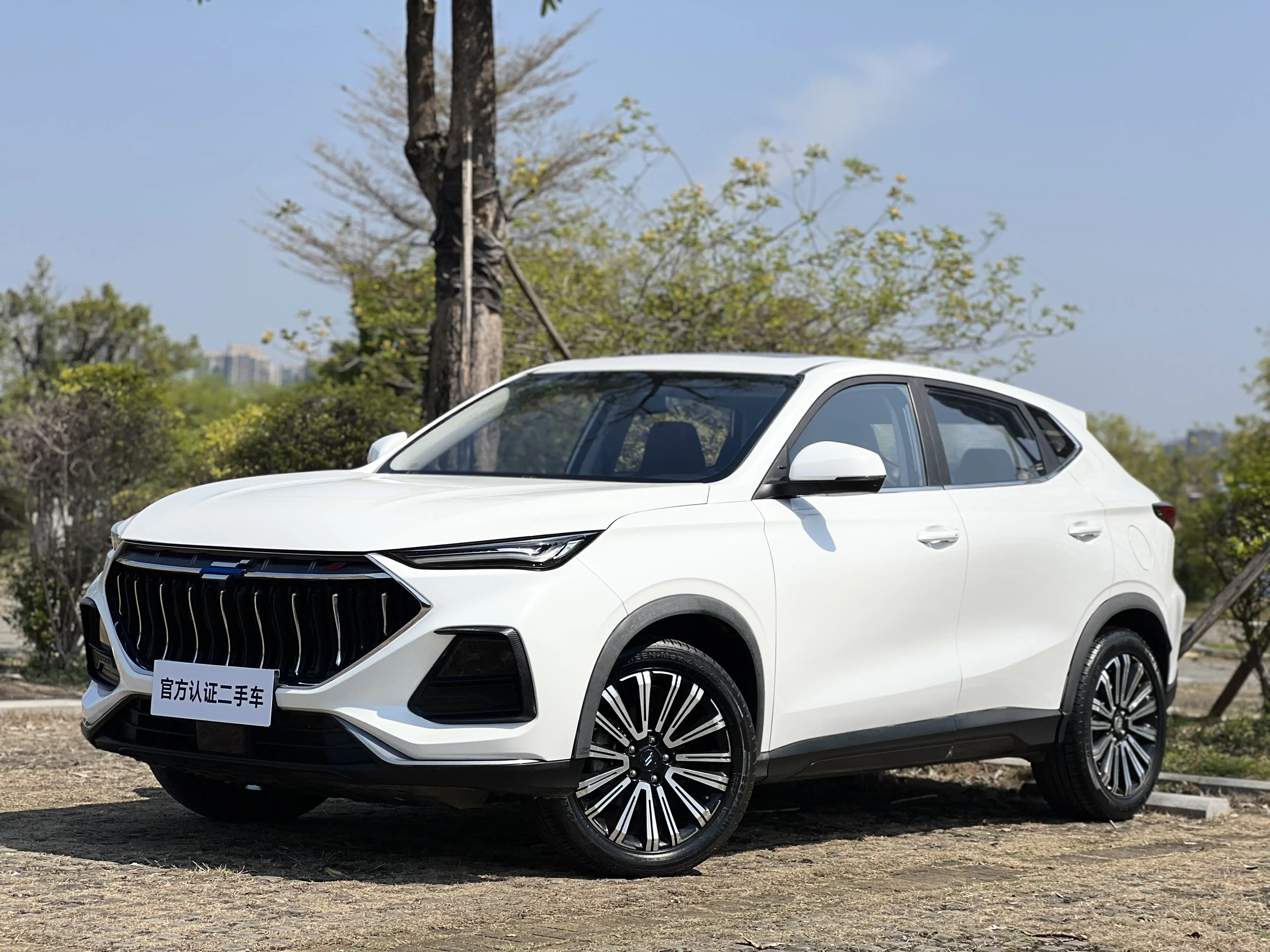 Oshan Changan Auchan X5