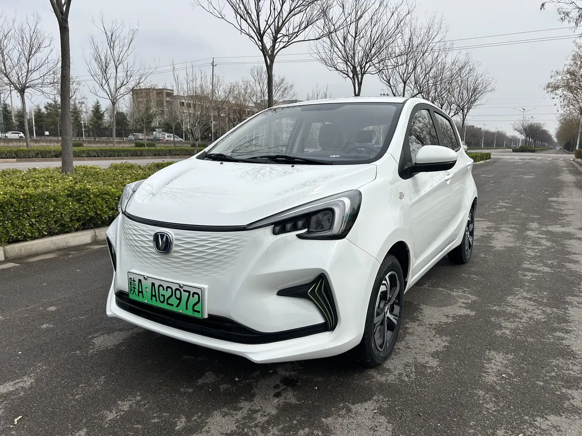 Oshan Benben E-Star  из Китая